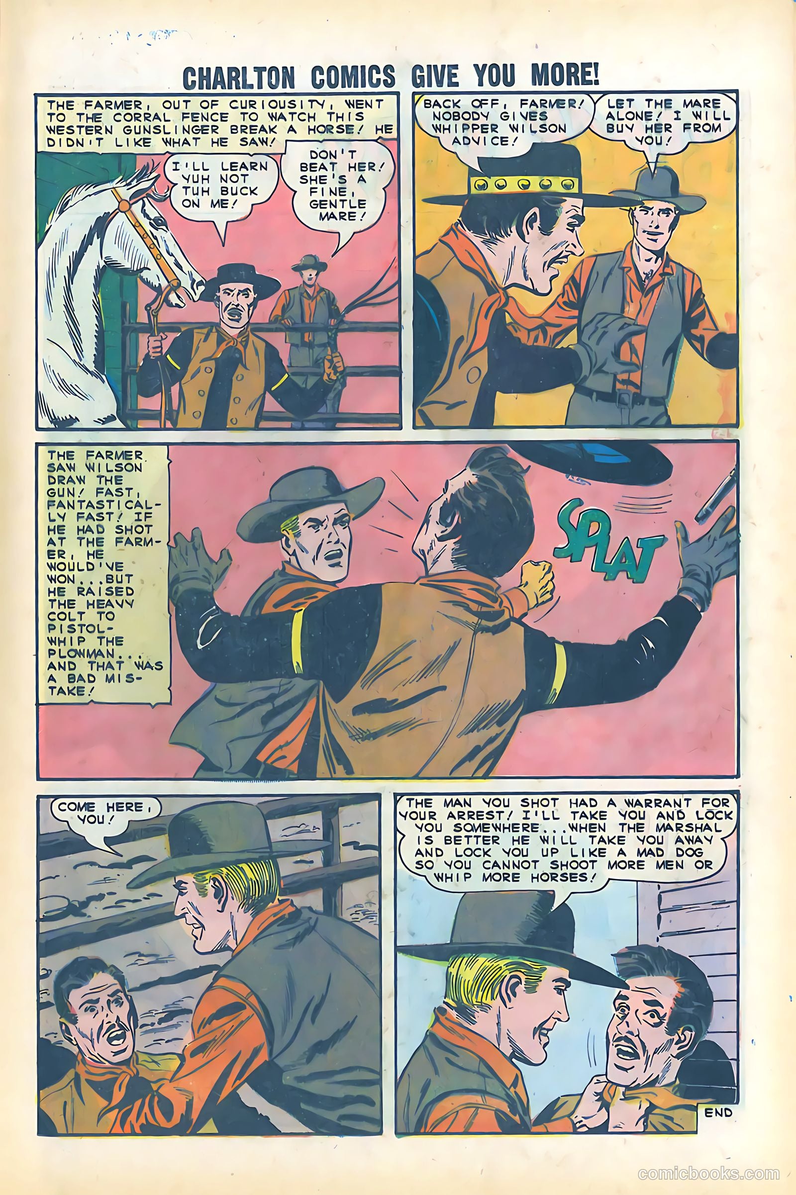 Black Fury #51 — page 13 of 36