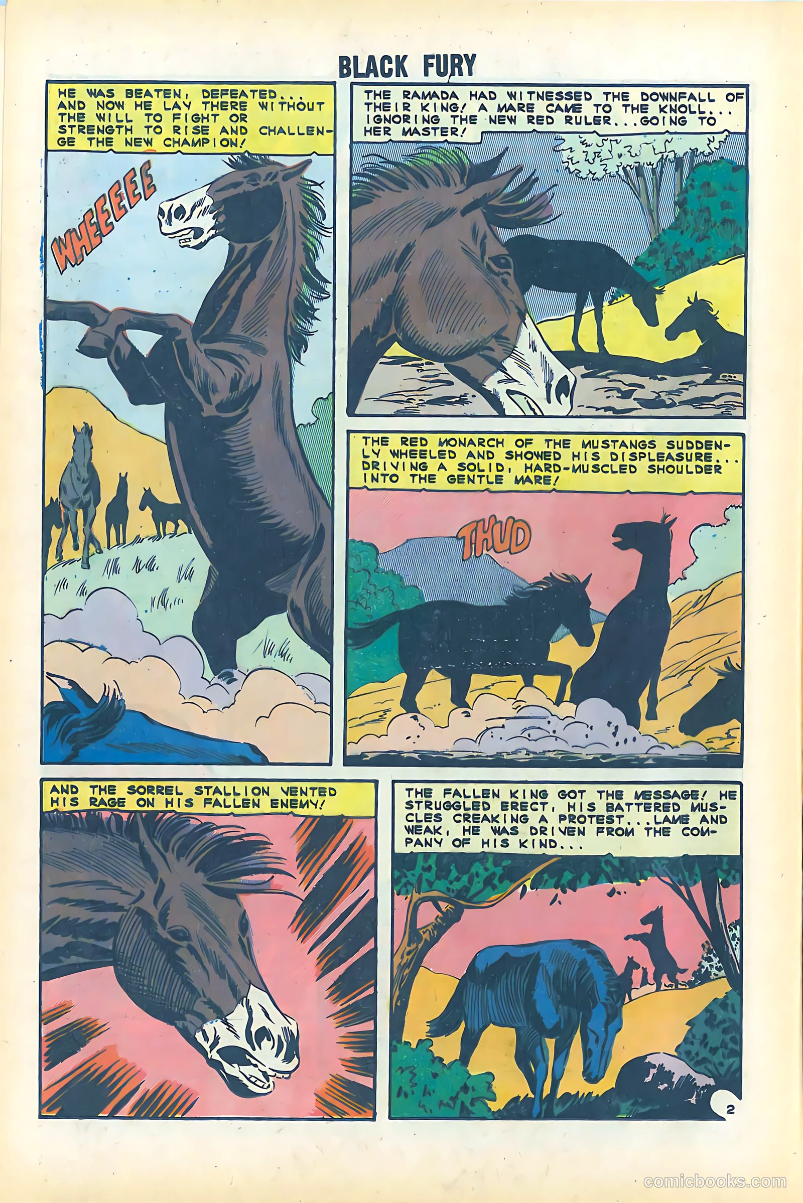 Black Fury #51 — page 16 of 36