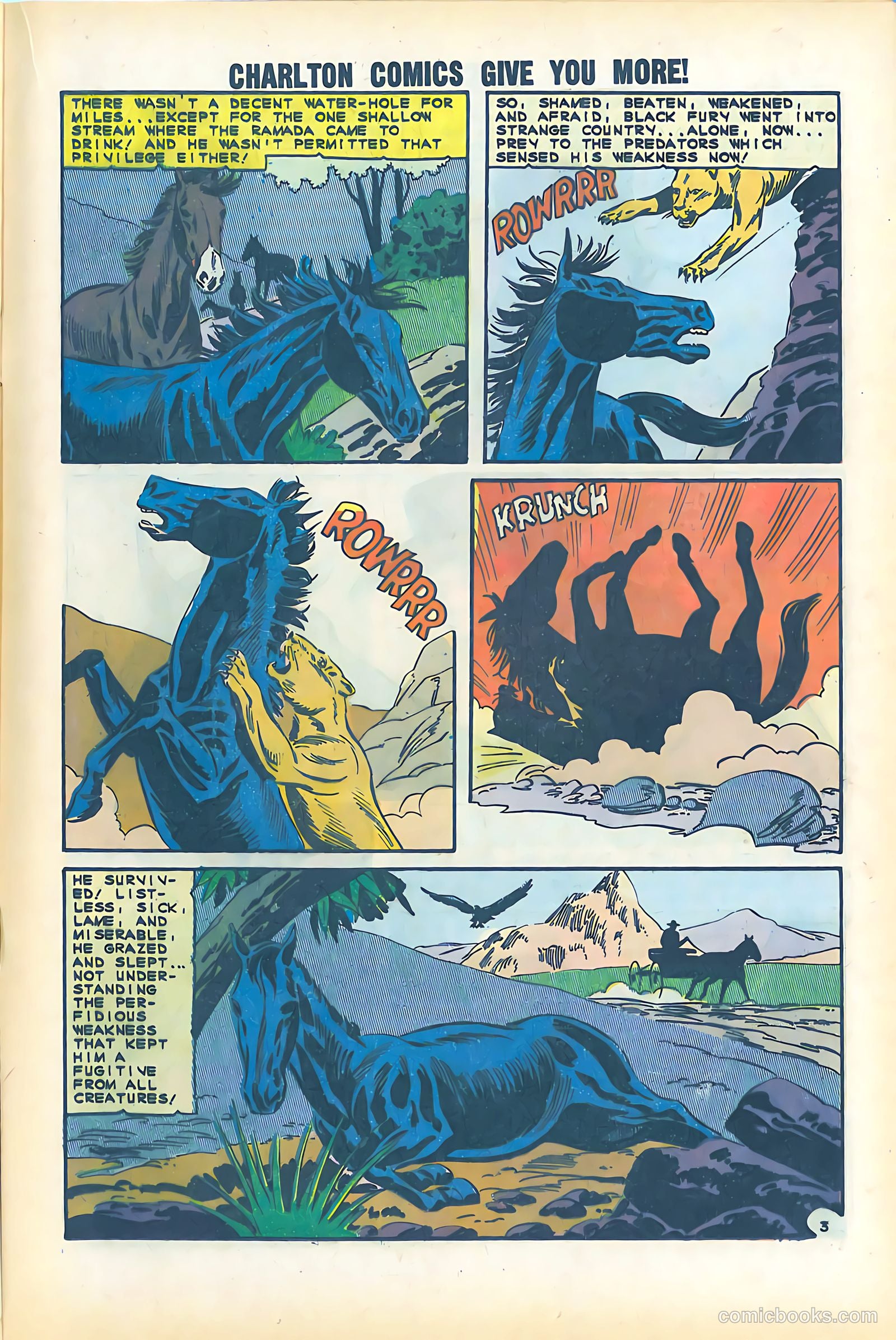 Black Fury #51 — page 17 of 36