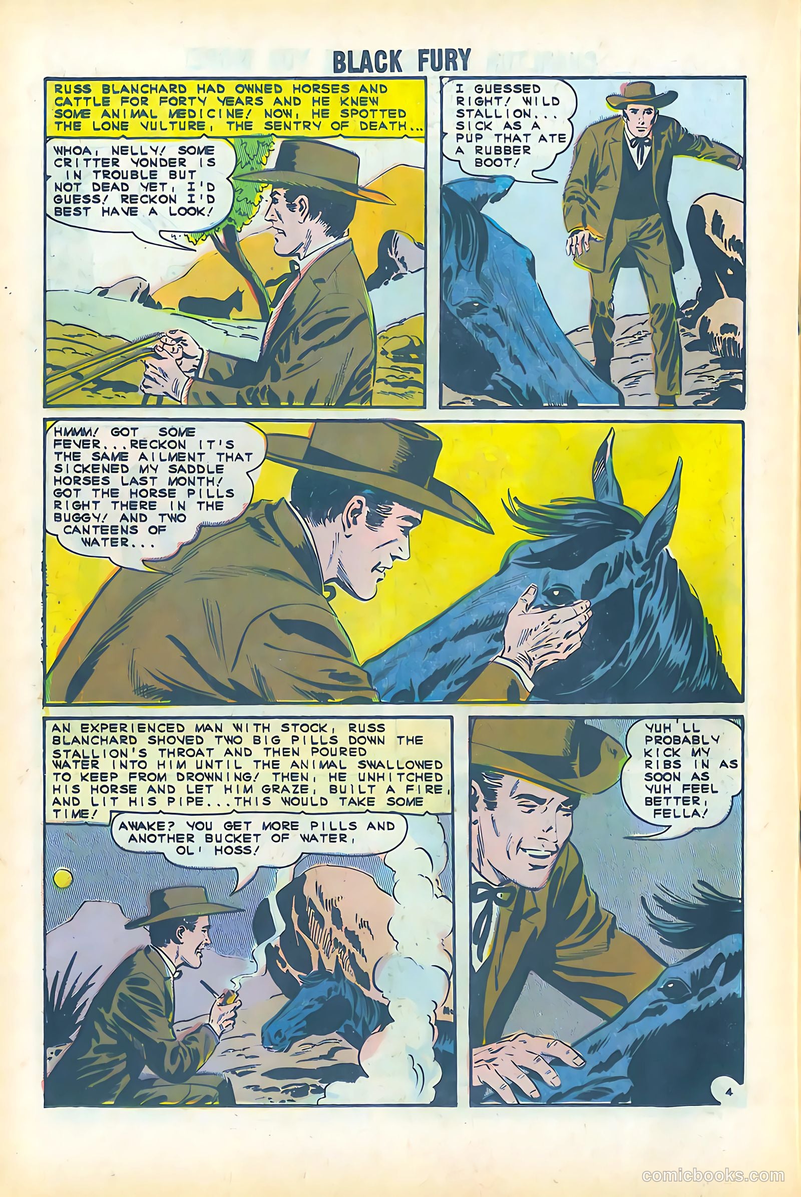 Black Fury #51 — page 18 of 36