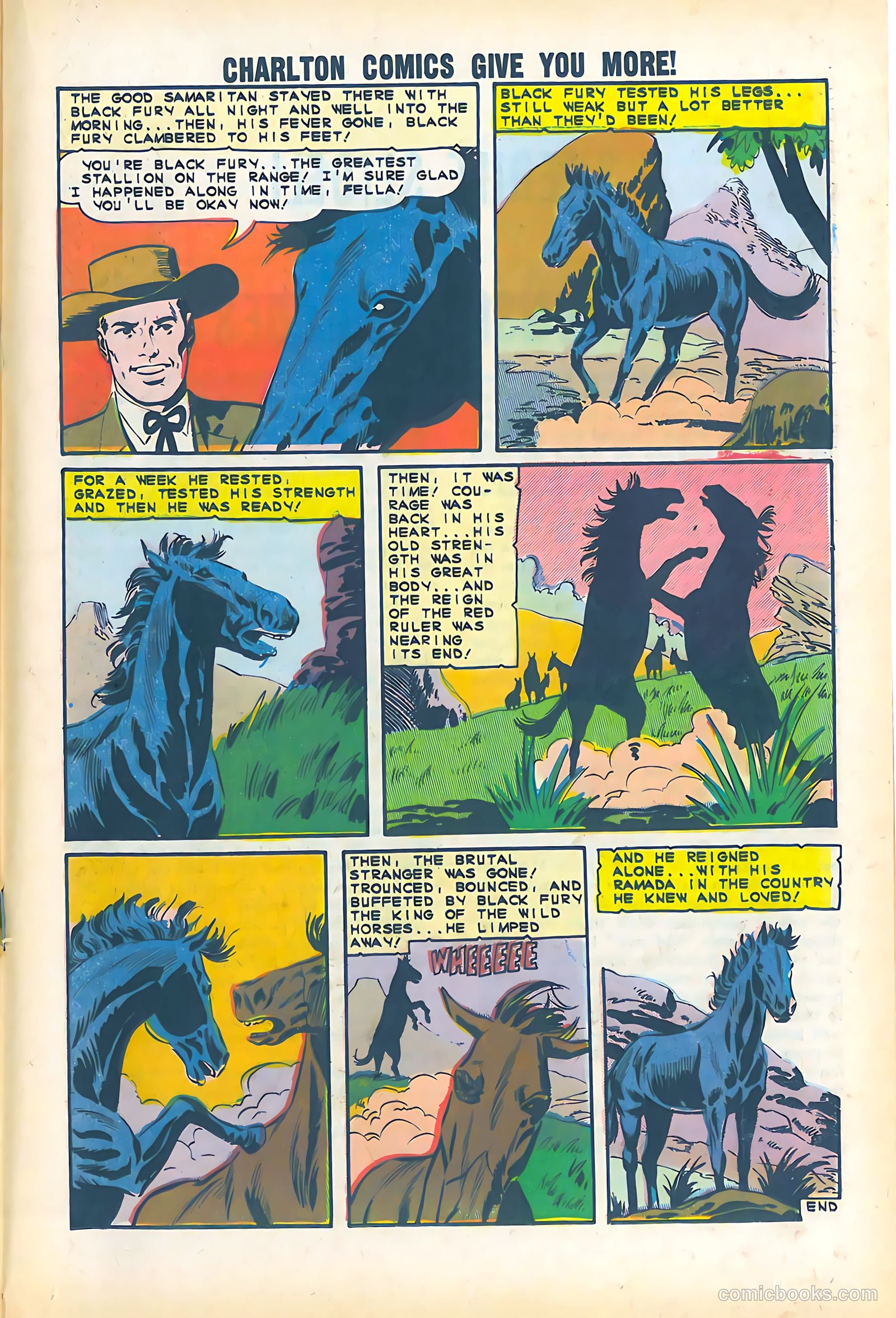 Black Fury #51 — page 19 of 36