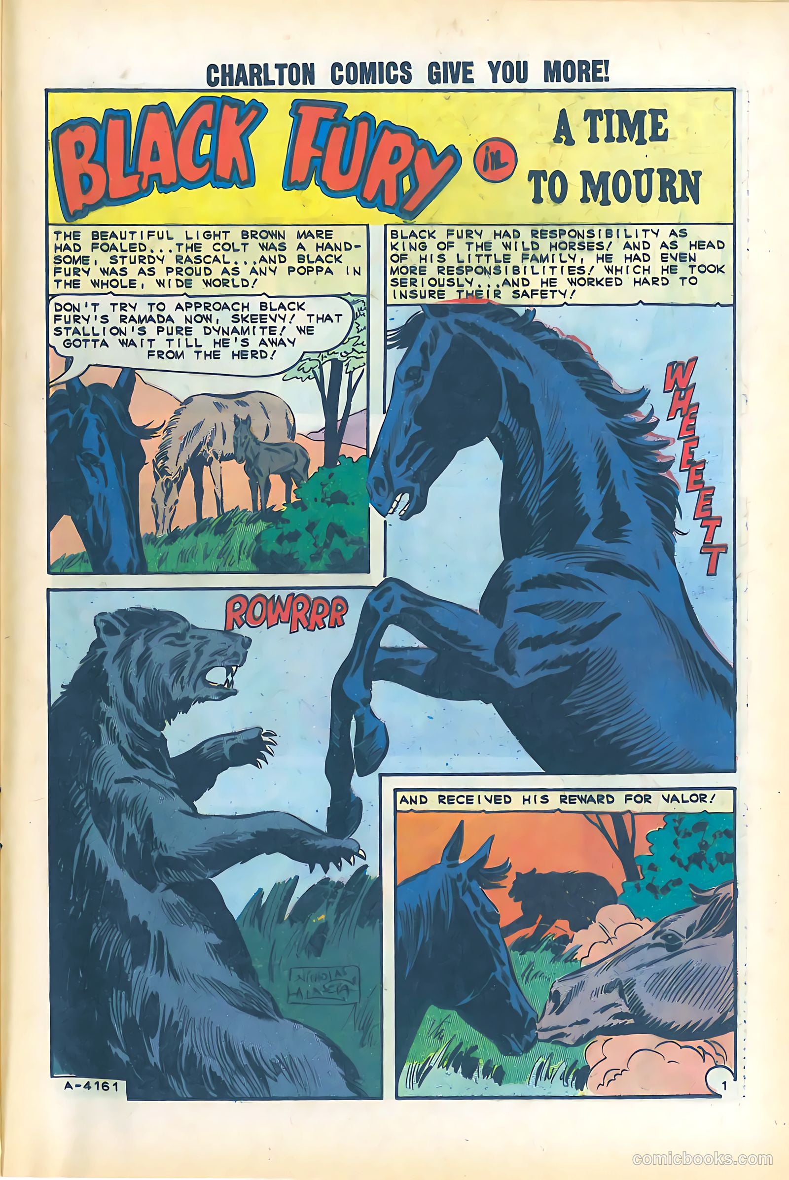 Black Fury #51 — page 25 of 36