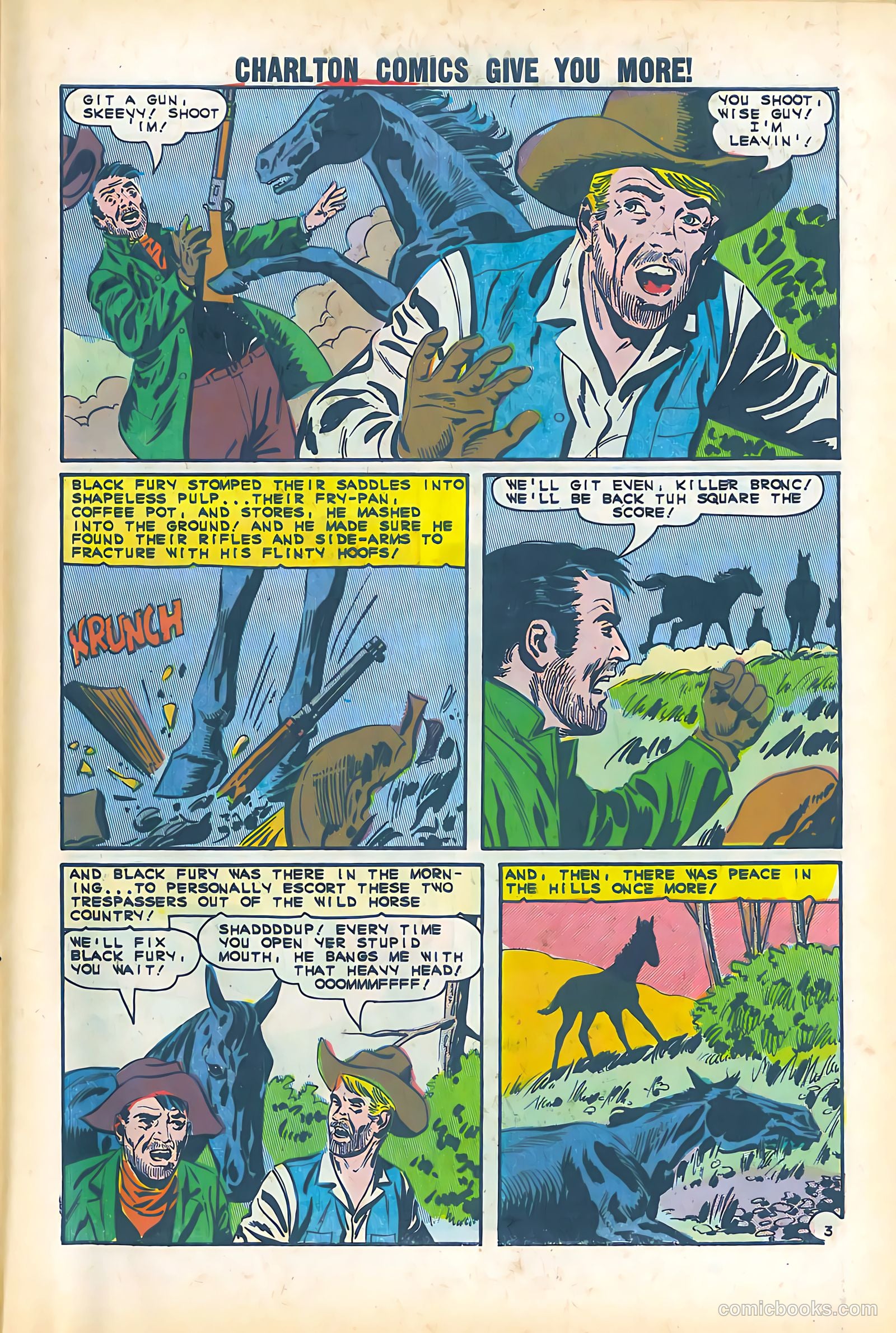 Black Fury #51 — page 27 of 36