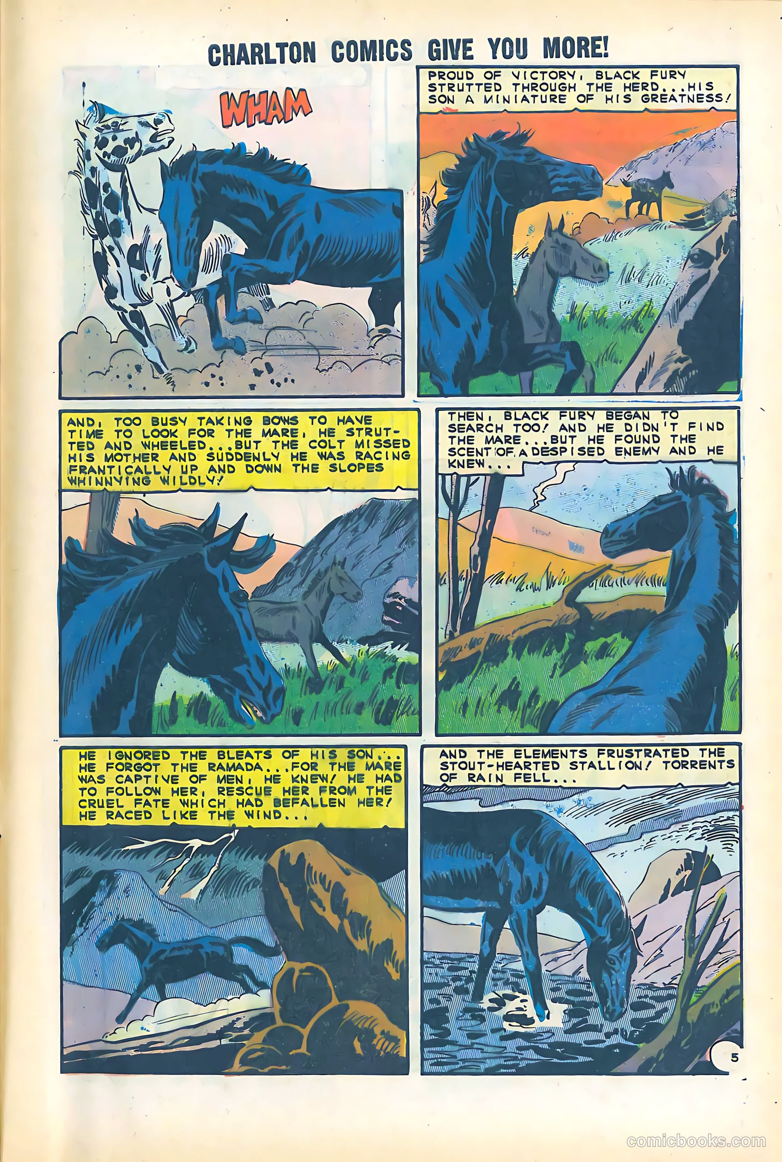 Black Fury #51 — page 29 of 36