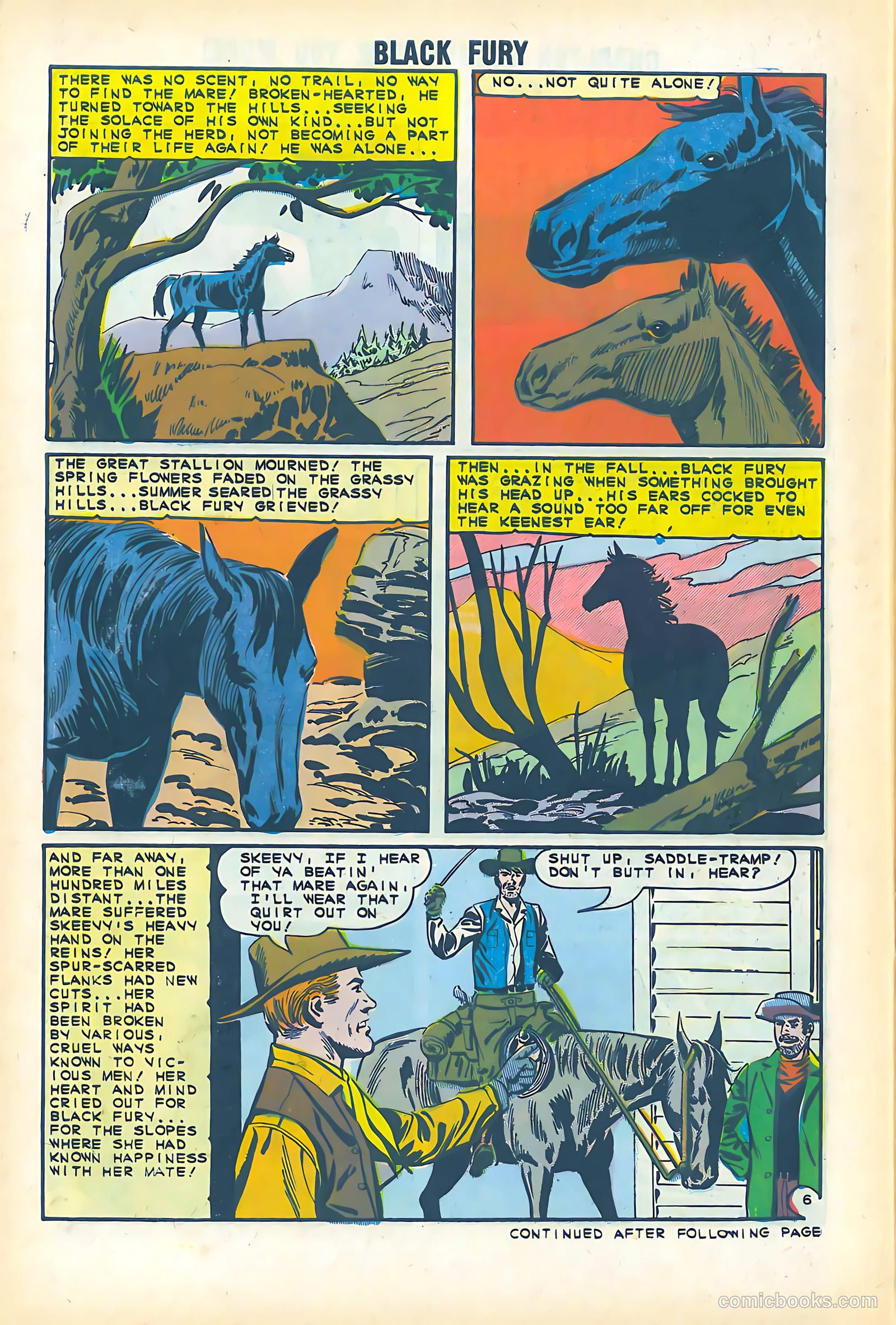 Black Fury #51 — page 30 of 36