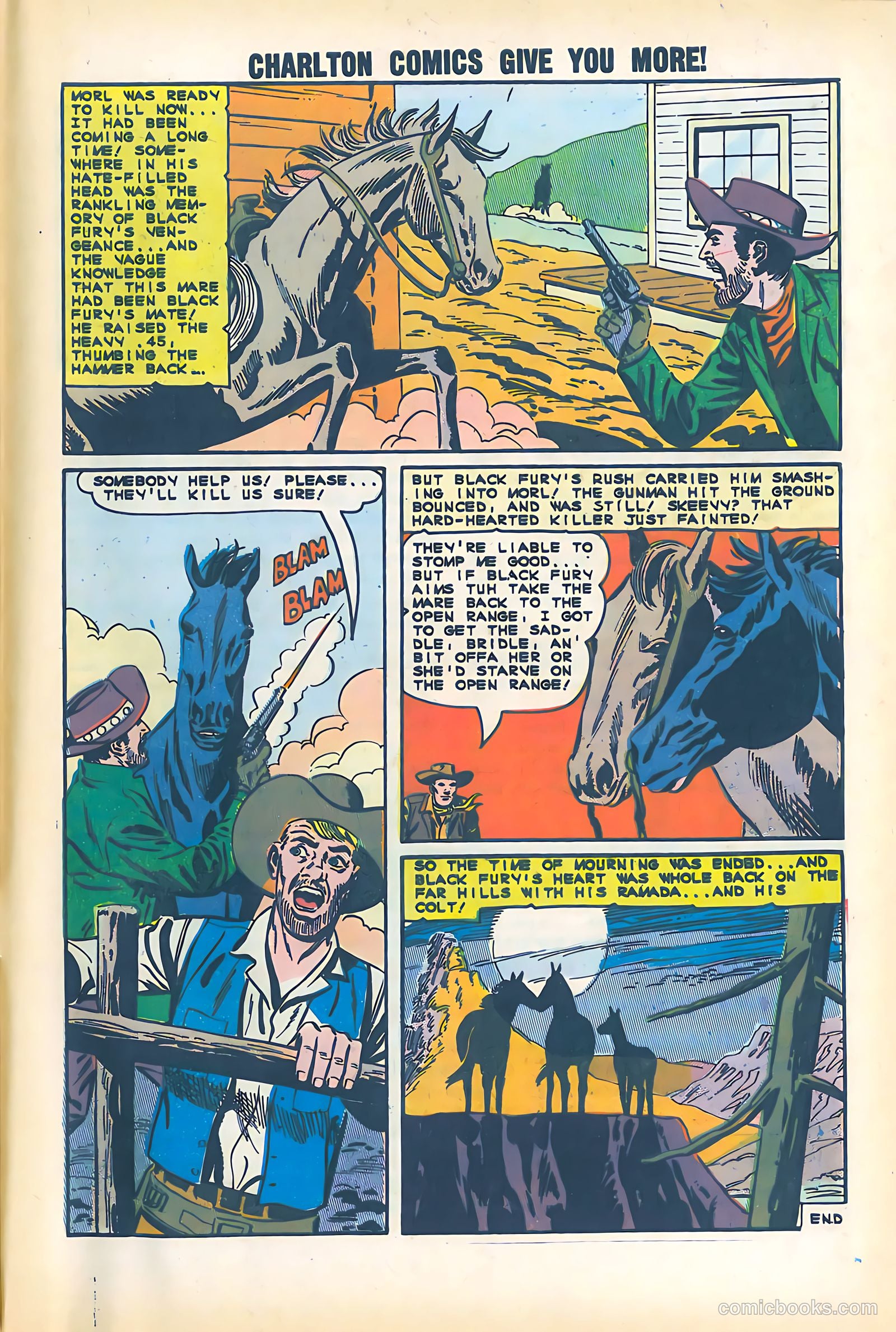 Black Fury #51 — page 33 of 36
