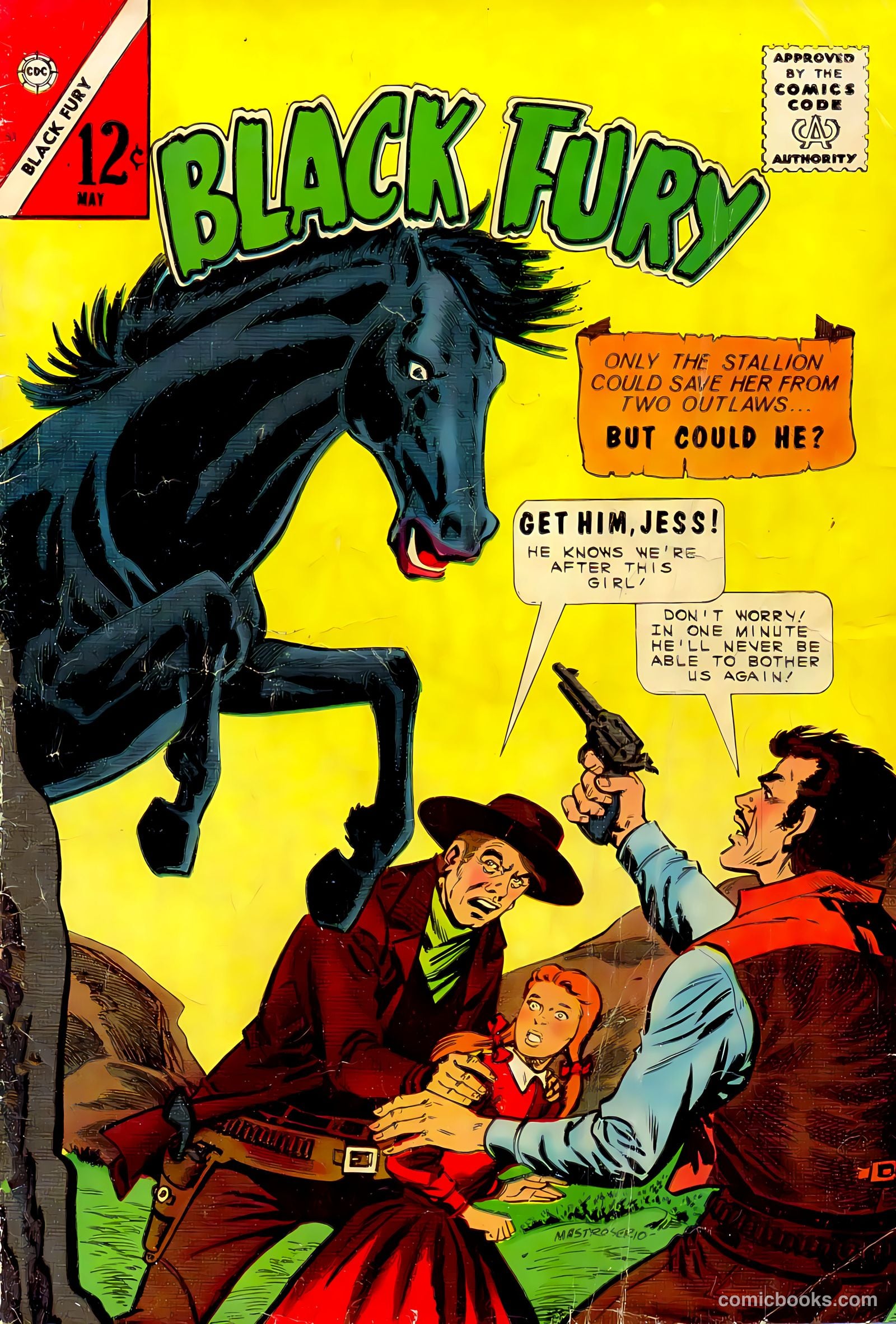 Black Fury #52 — page 1 of 36