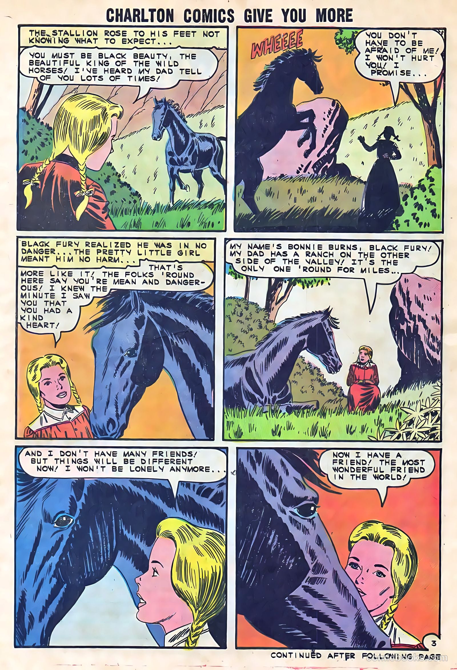 Black Fury #52 — page 5 of 36