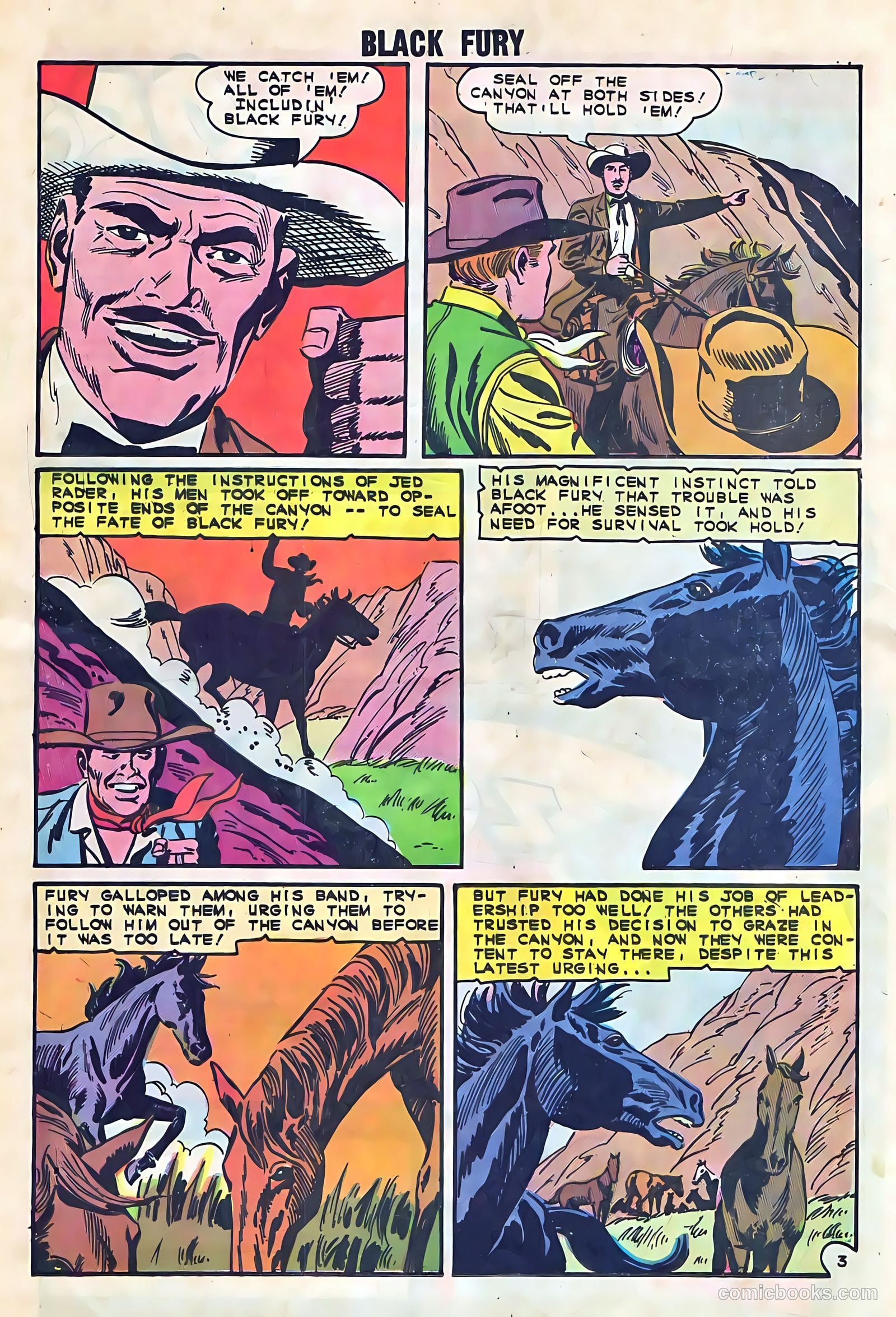 Black Fury #52 — page 17 of 36