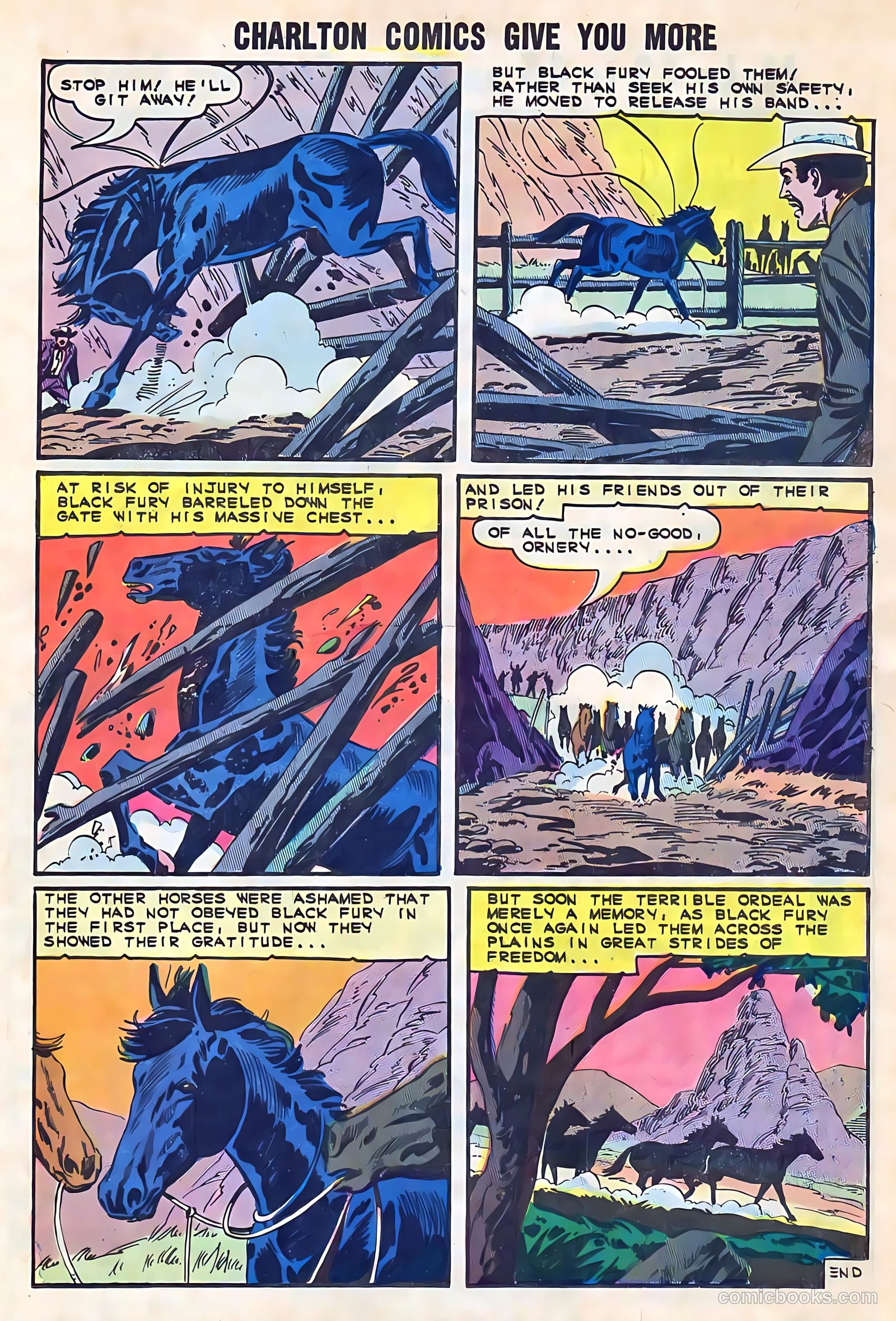 Black Fury #52 — page 21 of 36