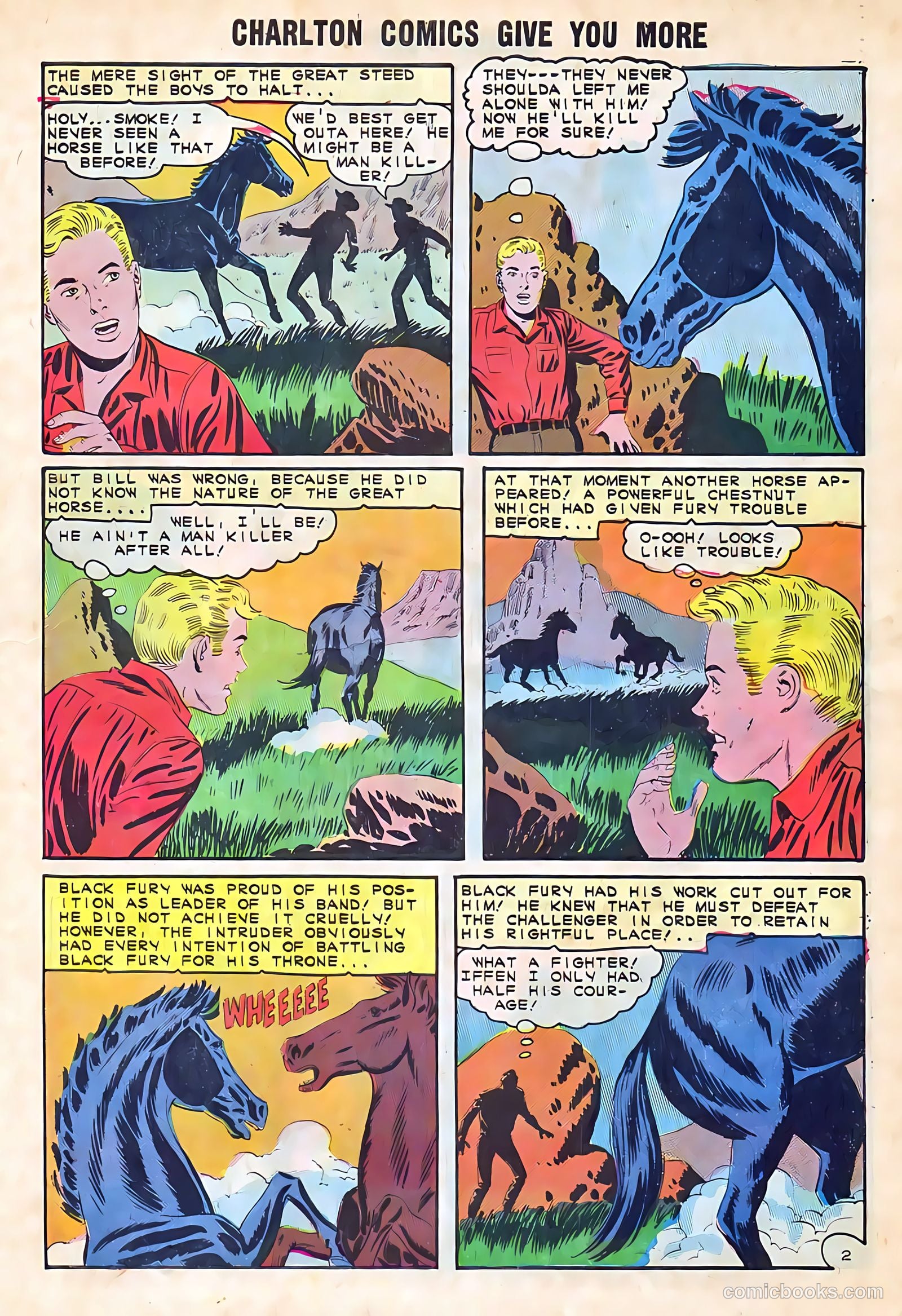 Black Fury #52 — page 27 of 36