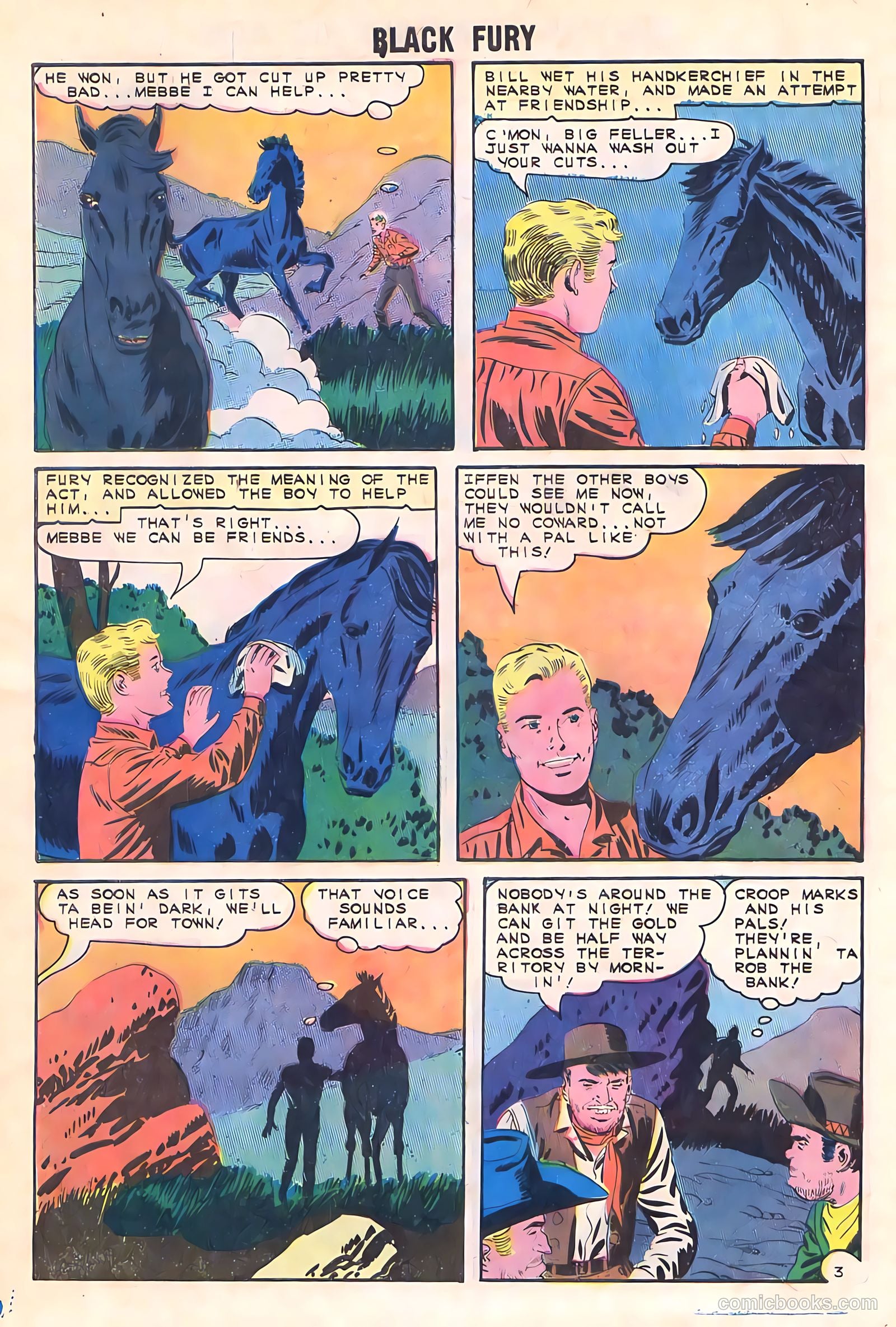 Black Fury #52 — page 28 of 36