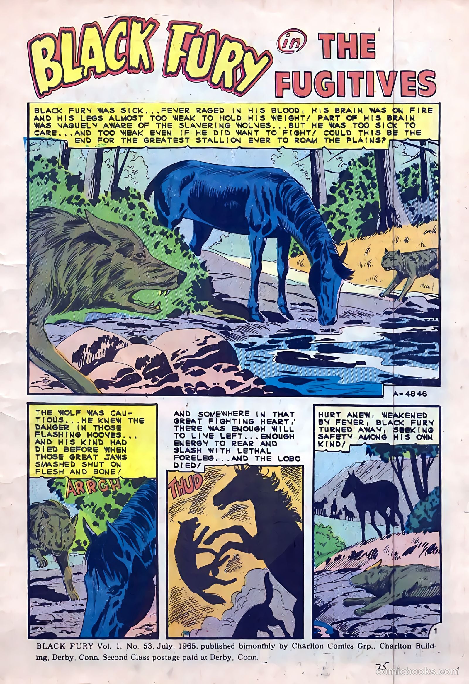 Black Fury #53 — page 3 of 36