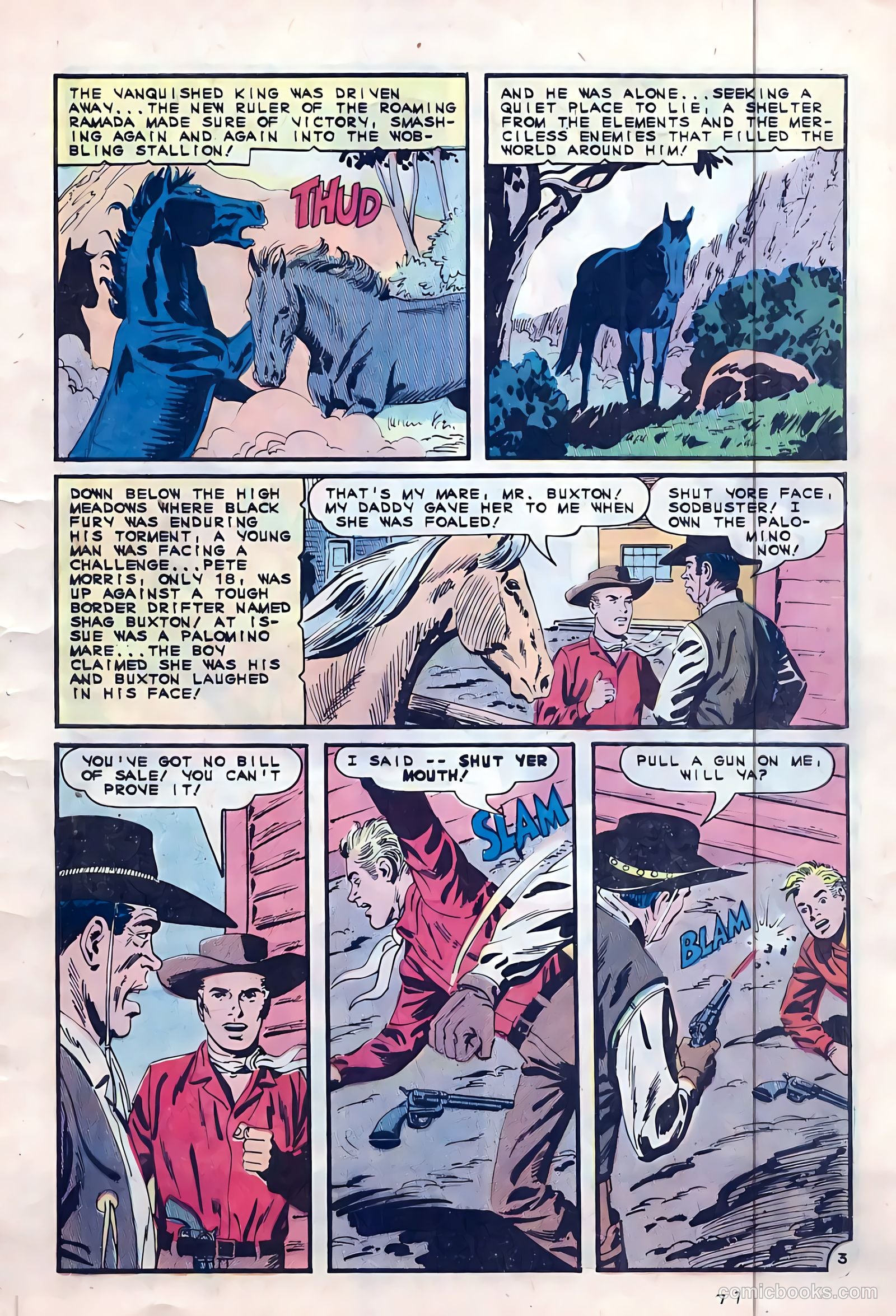 Black Fury #53 — page 5 of 36