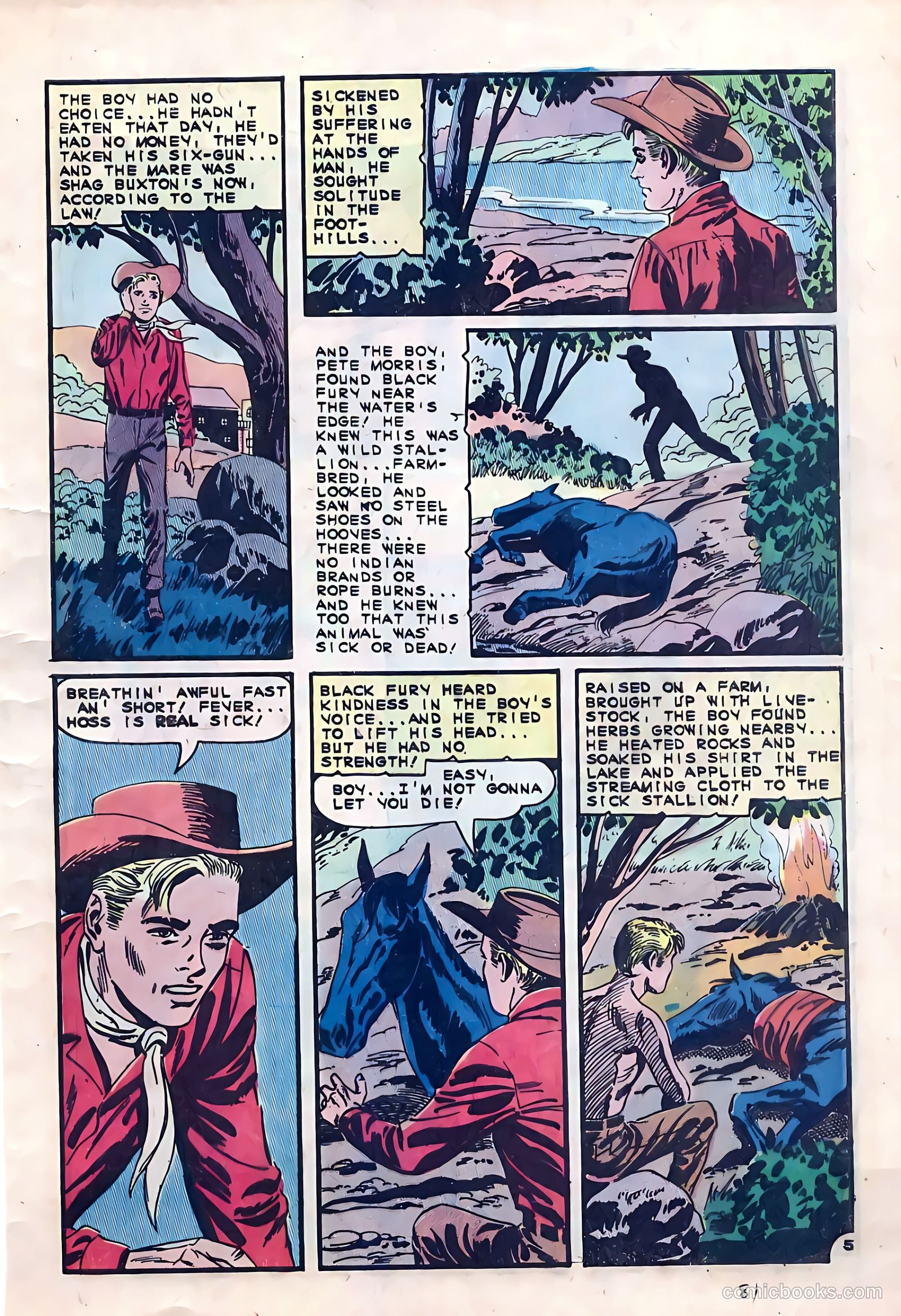Black Fury #53 — page 9 of 36