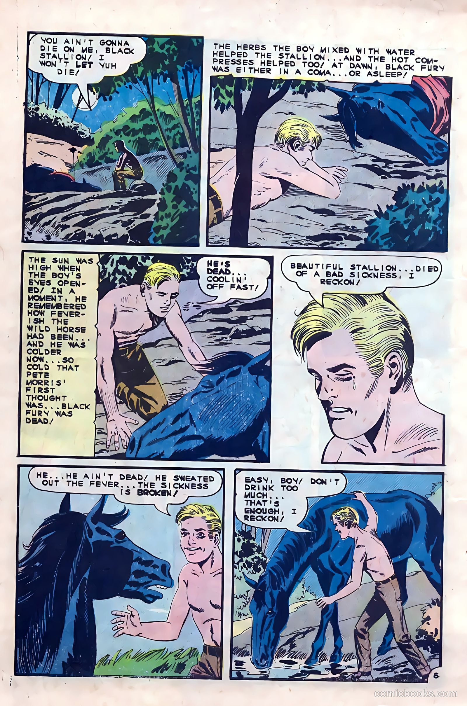 Black Fury #53 — page 10 of 36