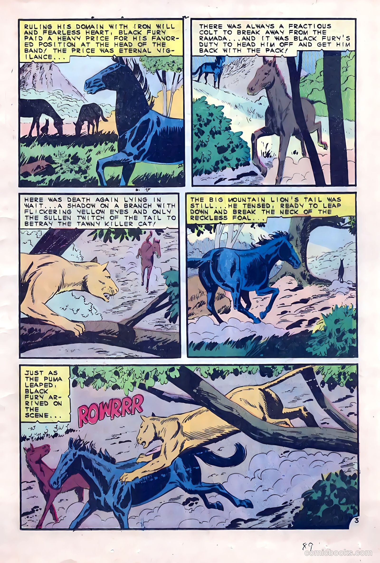 Black Fury #53 — page 17 of 36