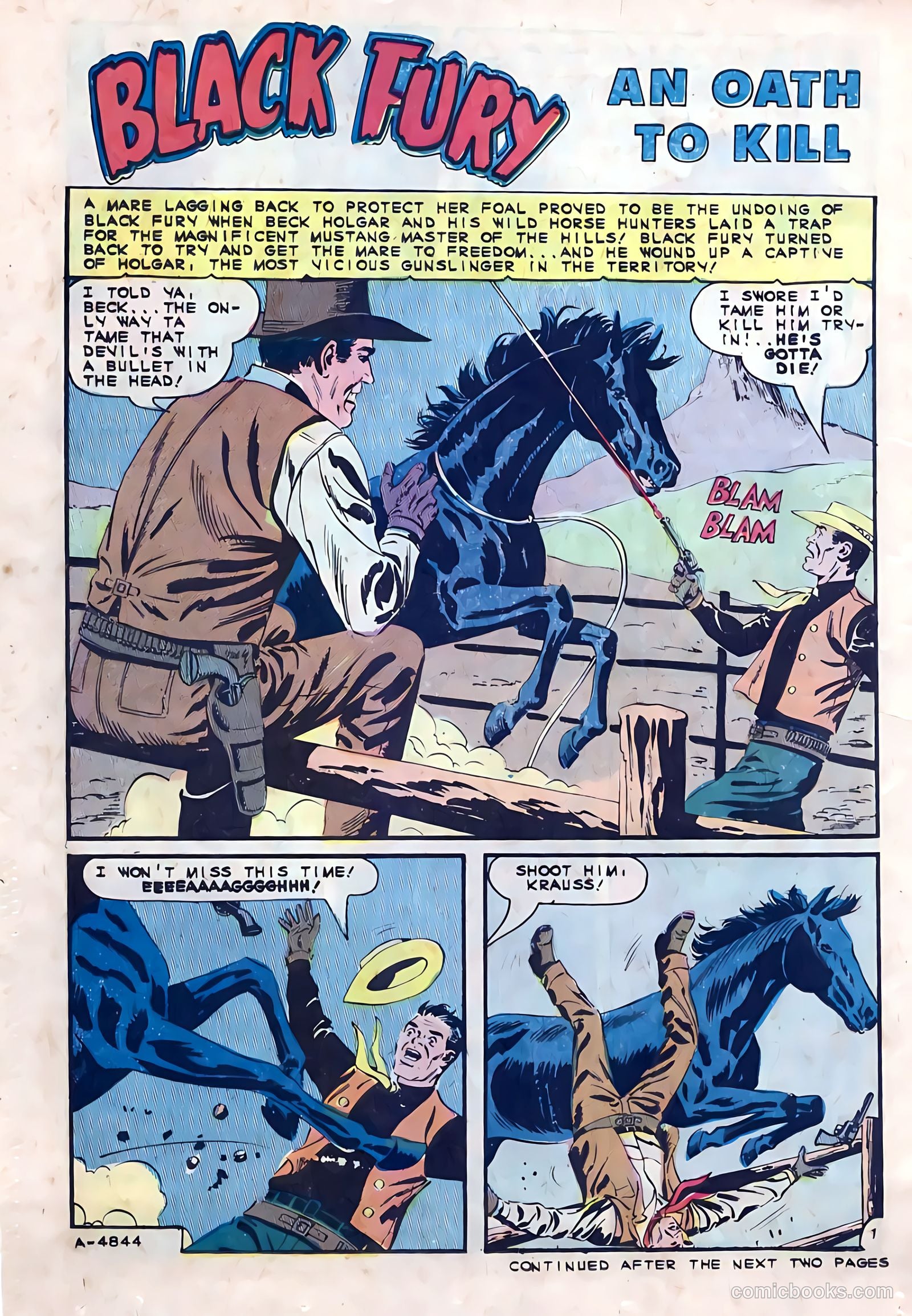 Black Fury #53 — page 22 of 36