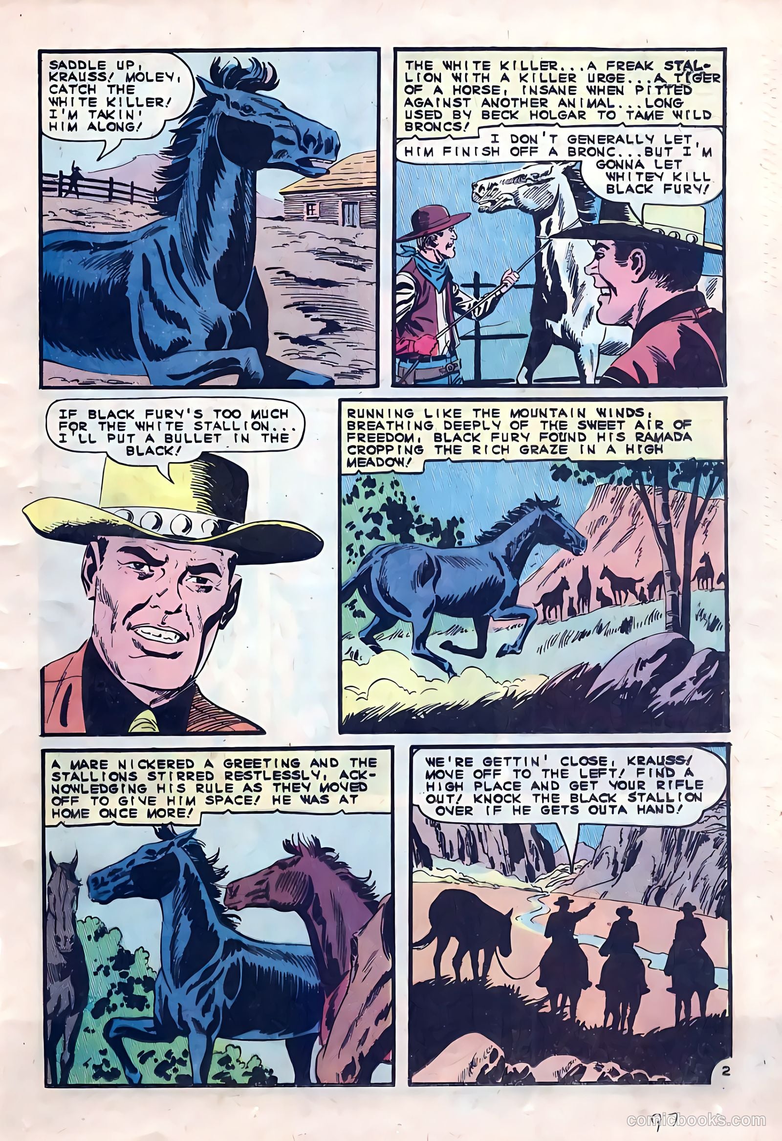 Black Fury #53 — page 25 of 36