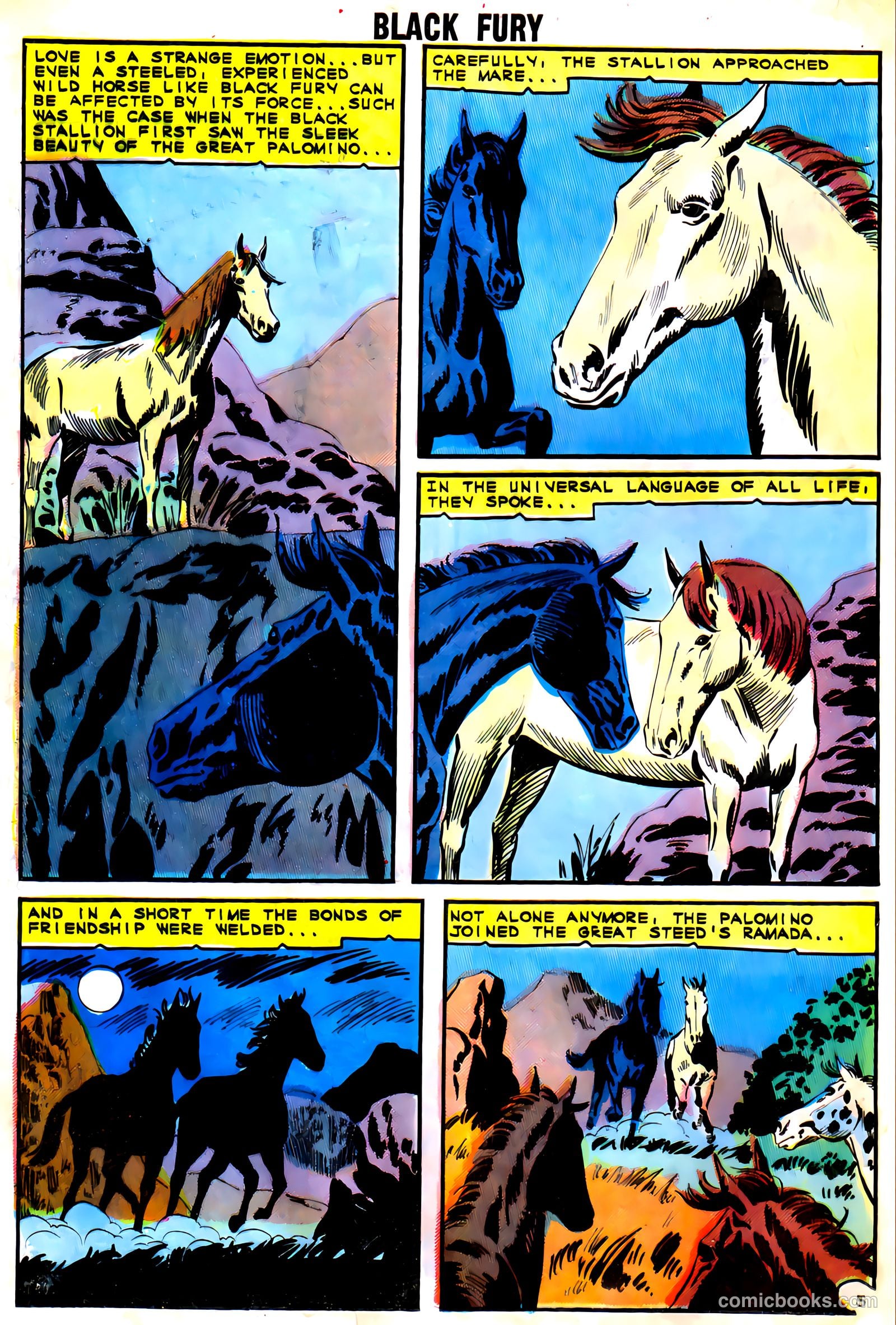 Black Fury #54 — page 16 of 36