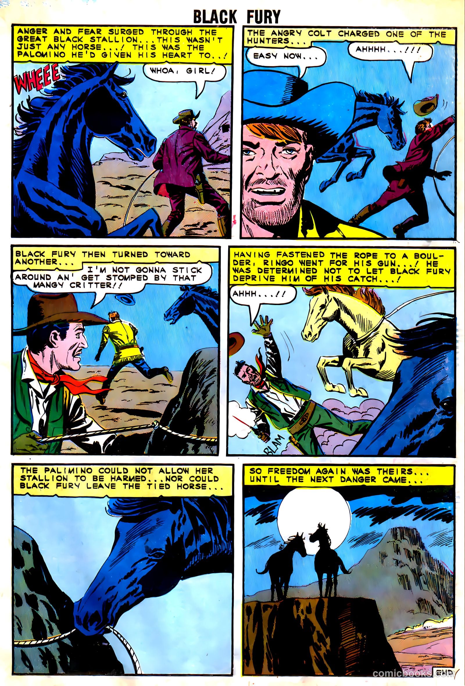 Black Fury #54 — page 19 of 36