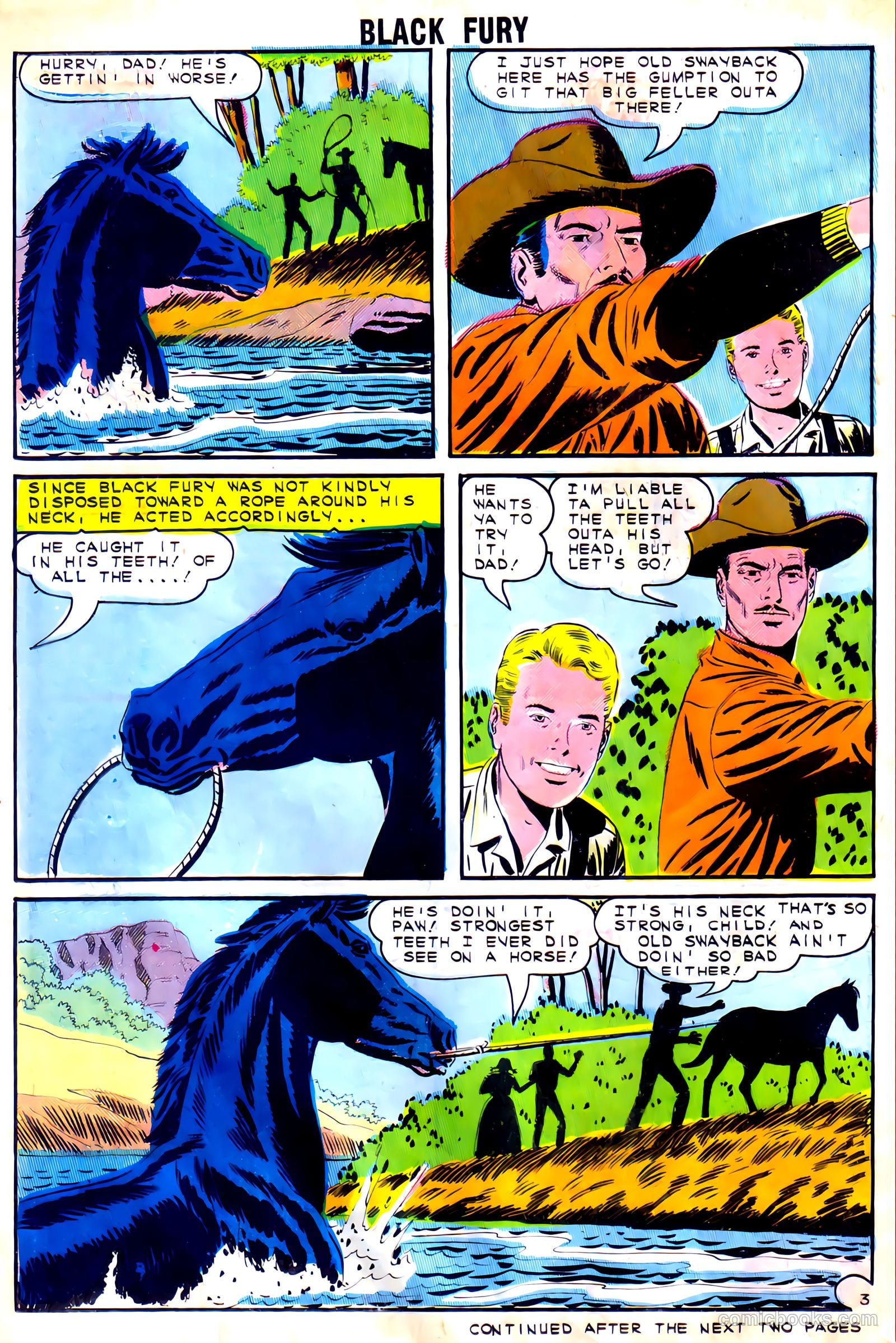 Black Fury #54 — page 22 of 36