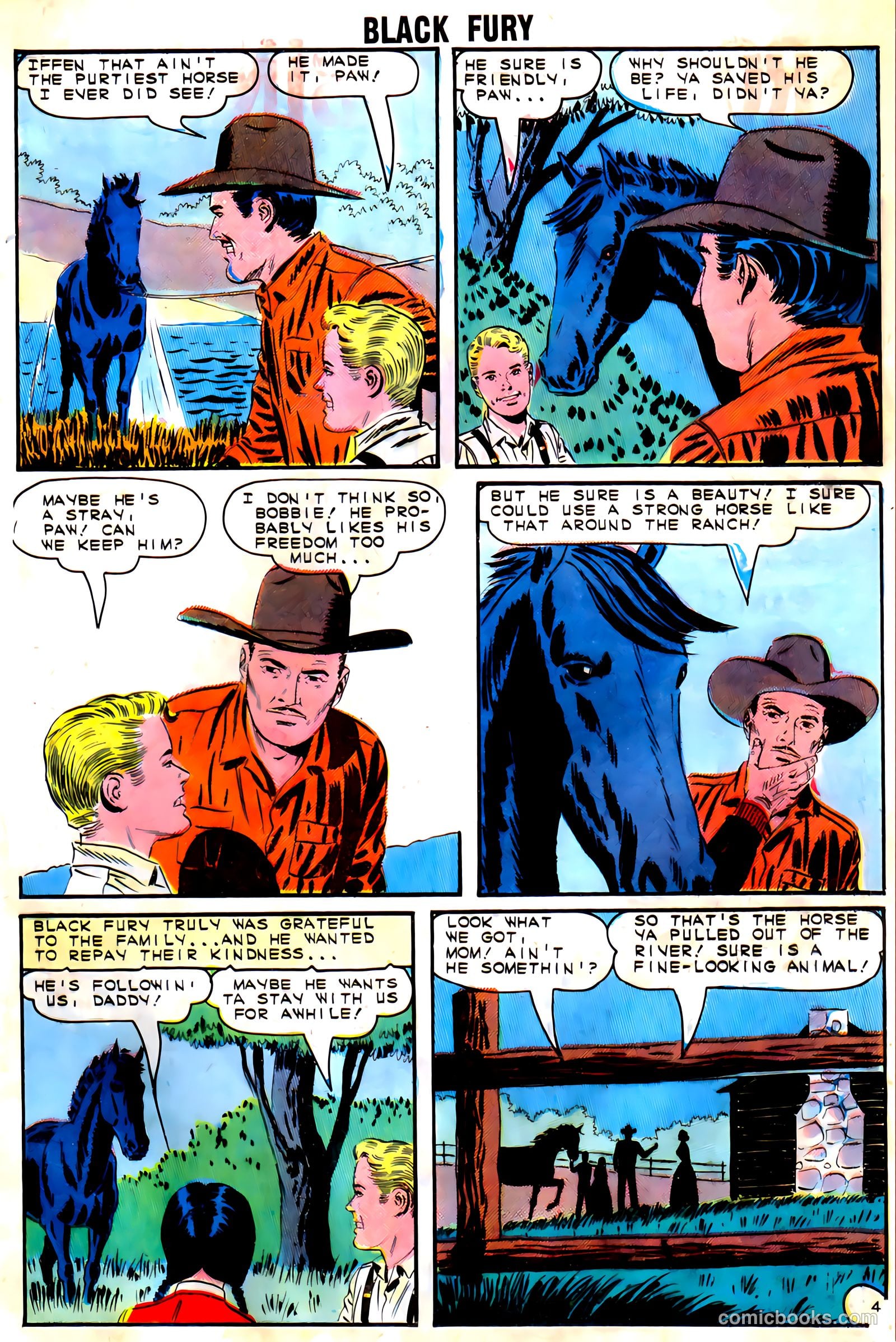 Black Fury #54 — page 25 of 36