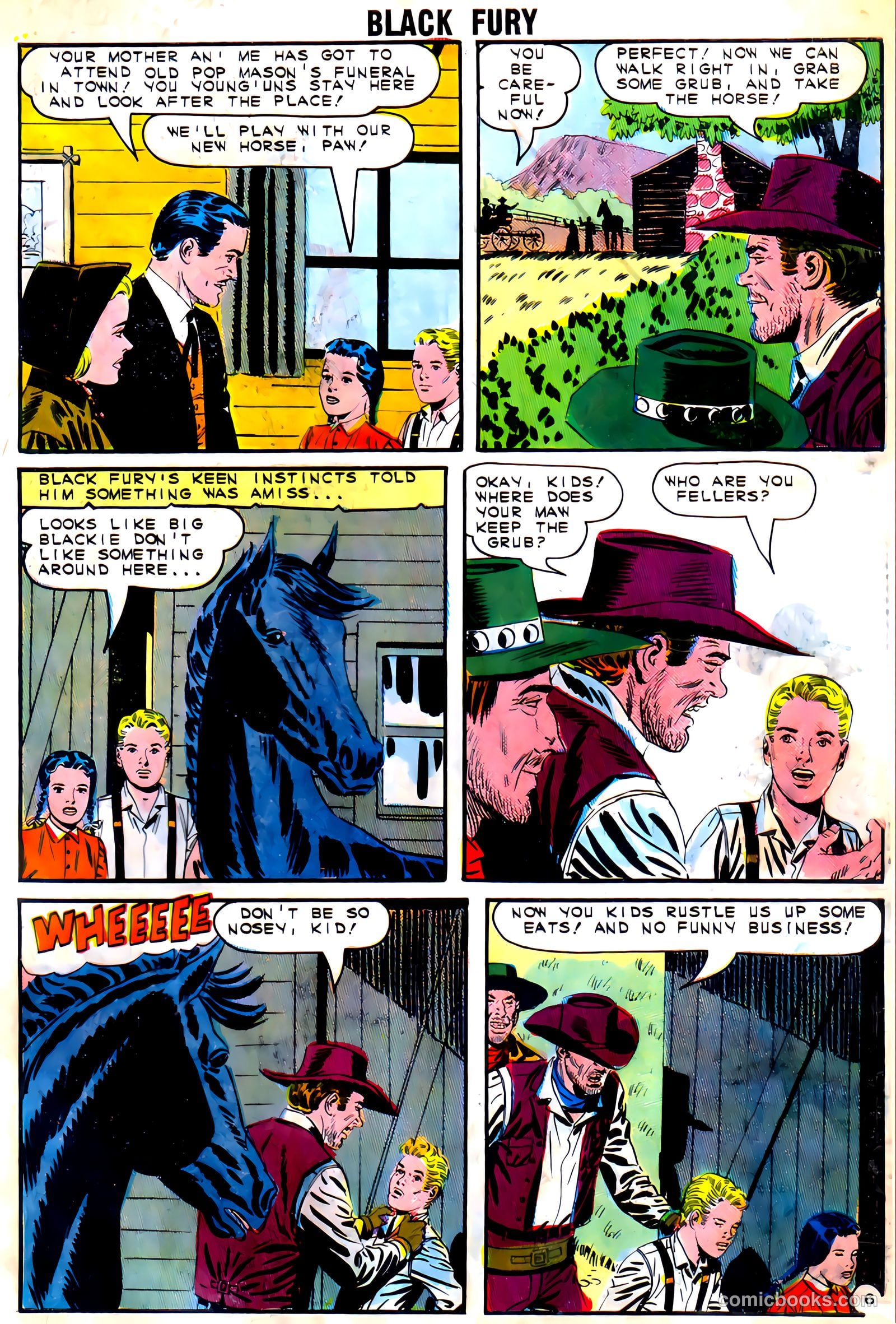 Black Fury #54 — page 27 of 36