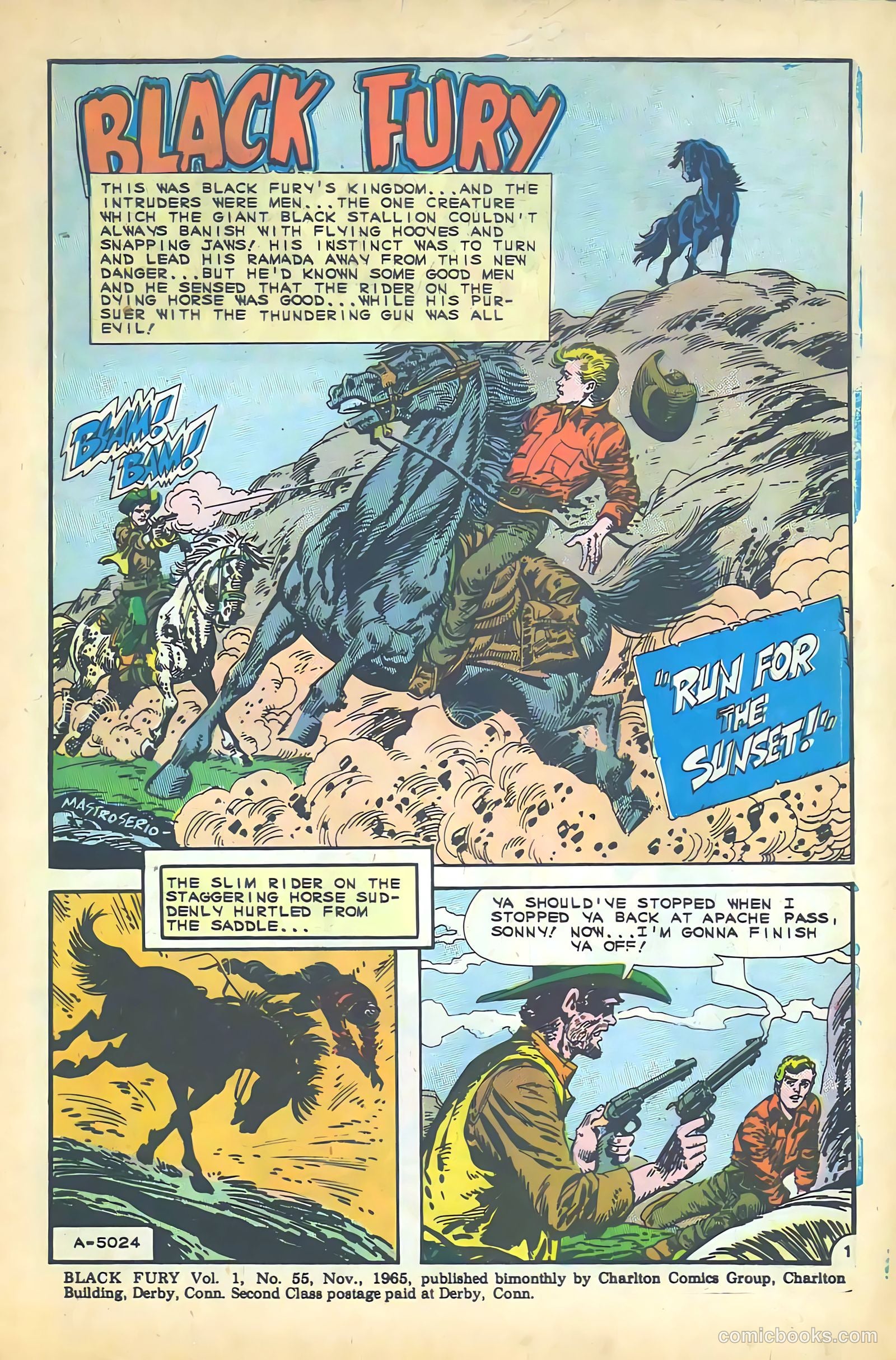 Black Fury #55 — page 3 of 36