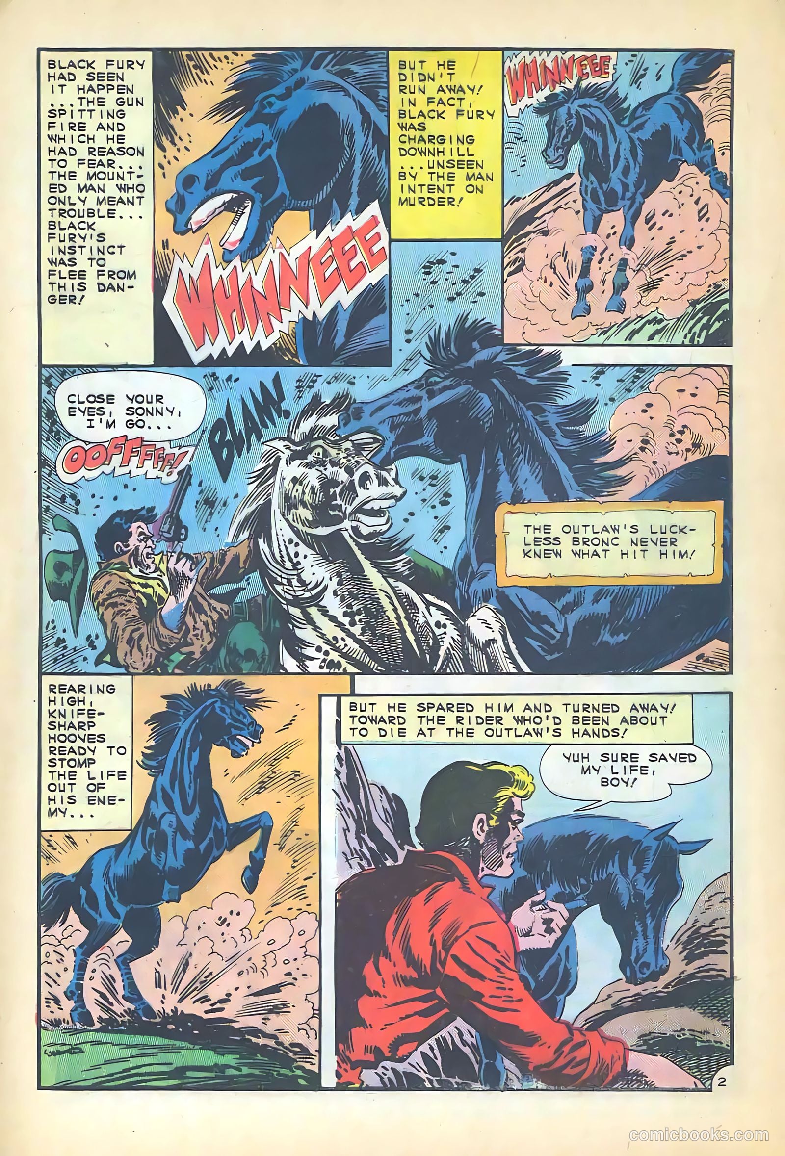 Black Fury #55 — page 4 of 36