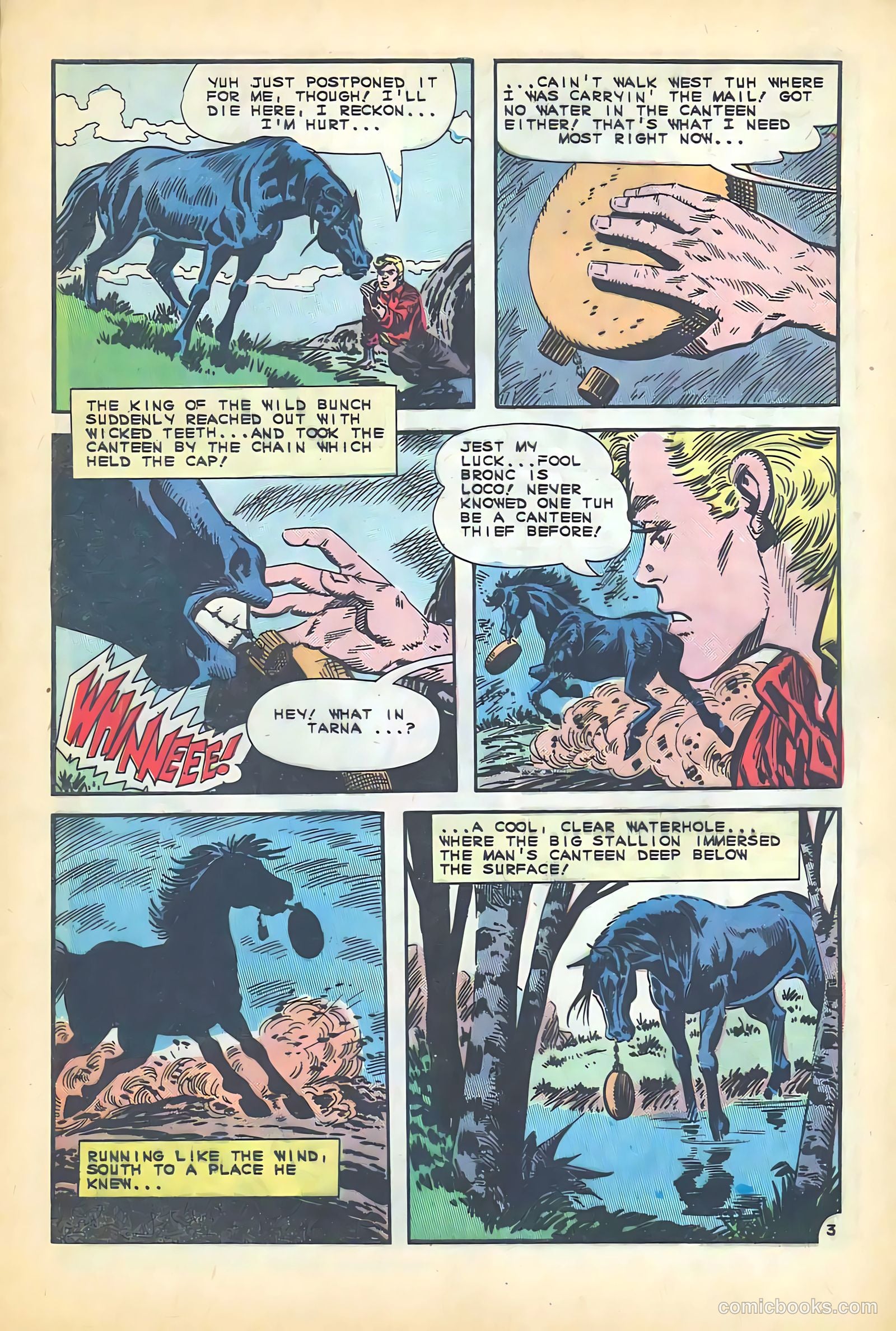 Black Fury #55 — page 5 of 36