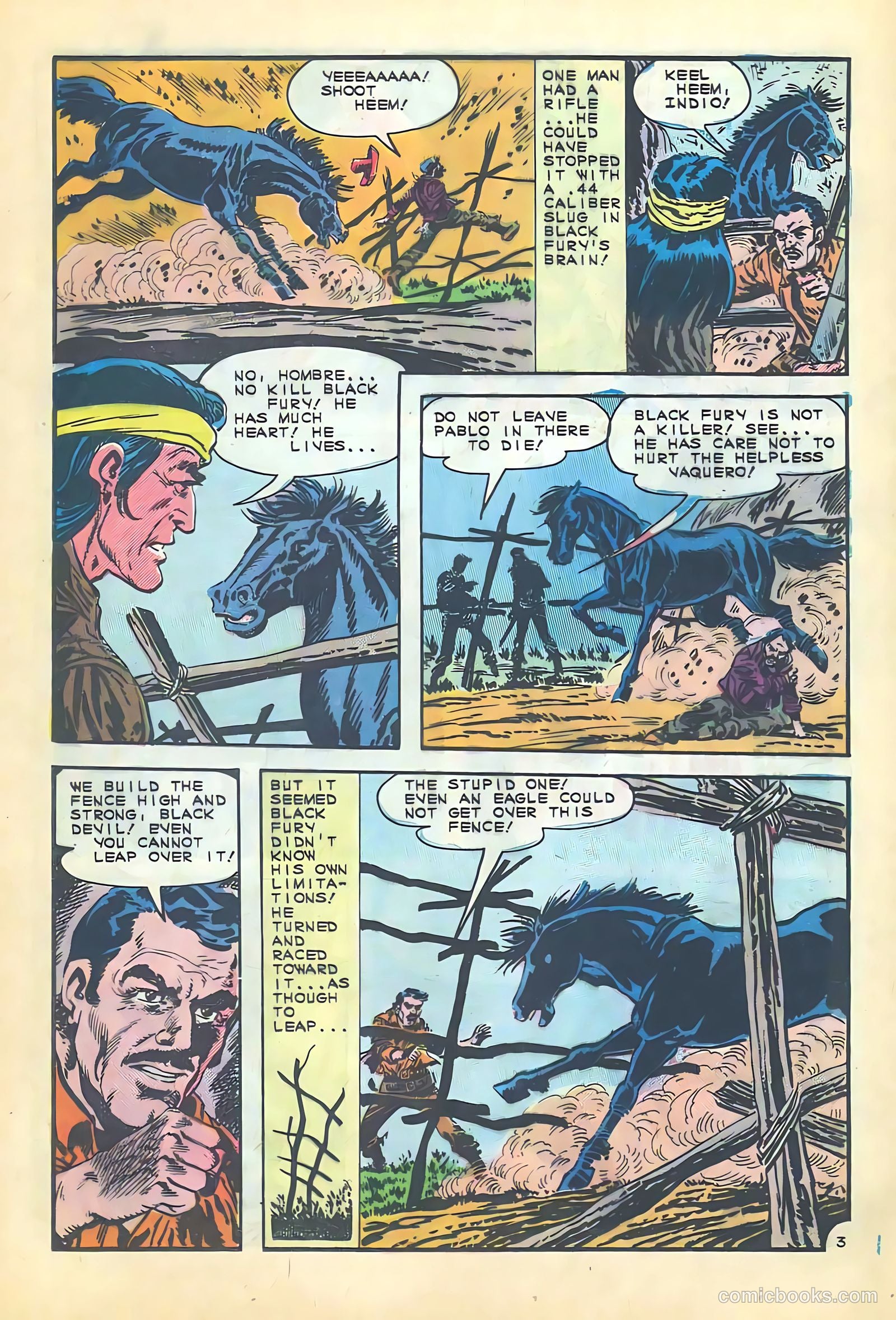Black Fury #55 — page 17 of 36