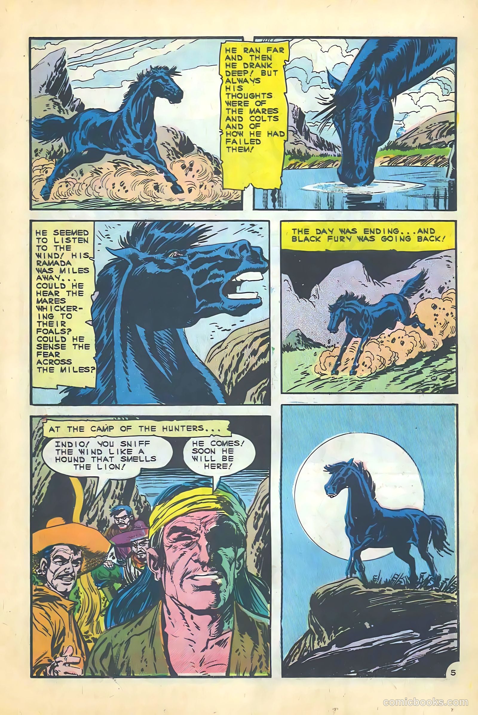 Black Fury #55 — page 19 of 36