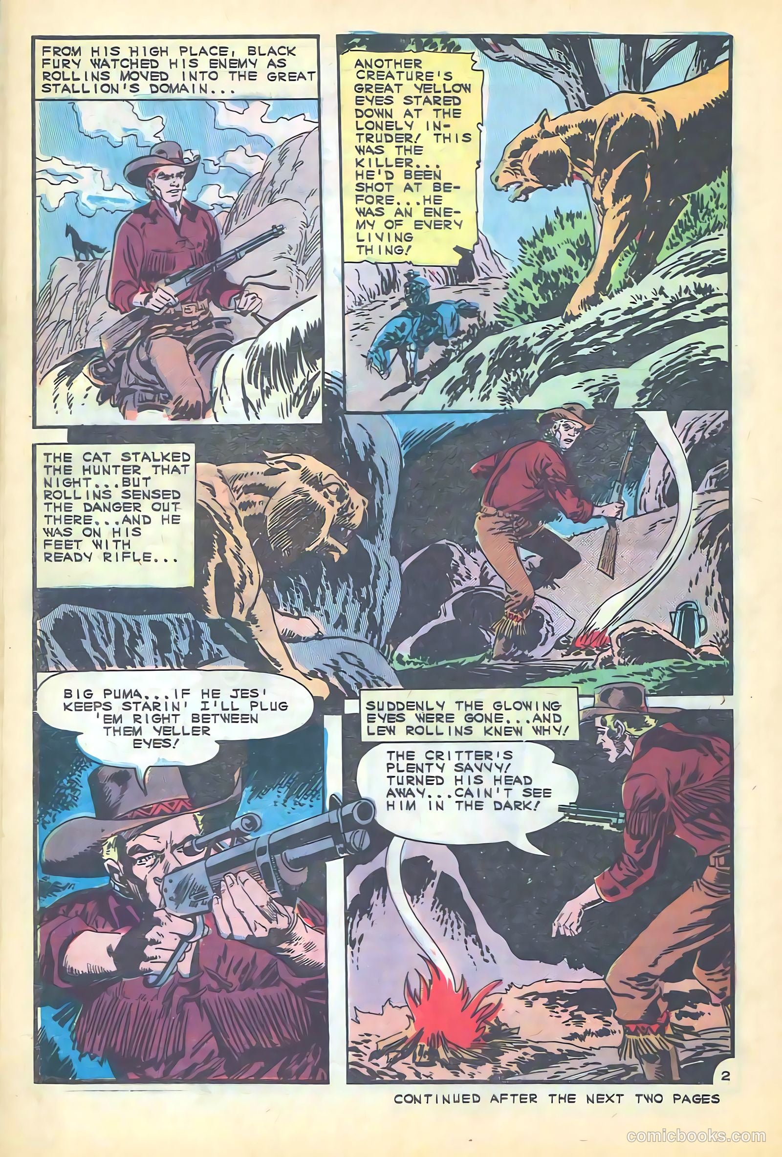 Black Fury #55 — page 28 of 36