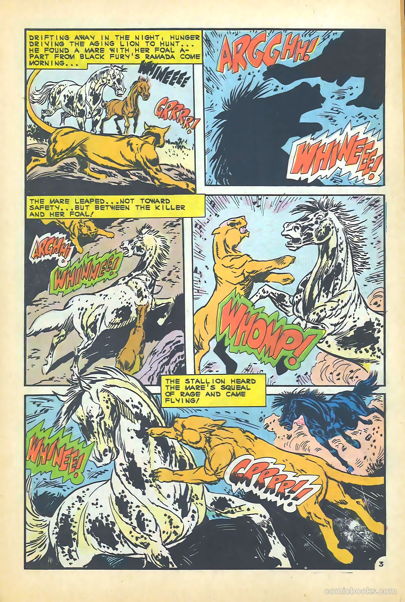 Black Fury #55 — page 31 of 36