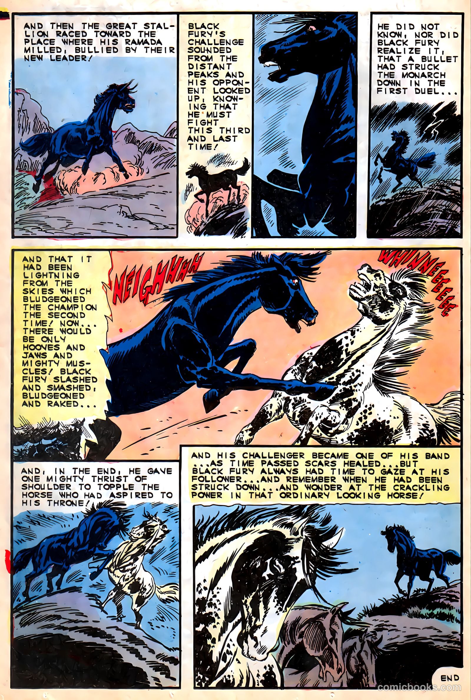 Black Fury #56 — page 12 of 36