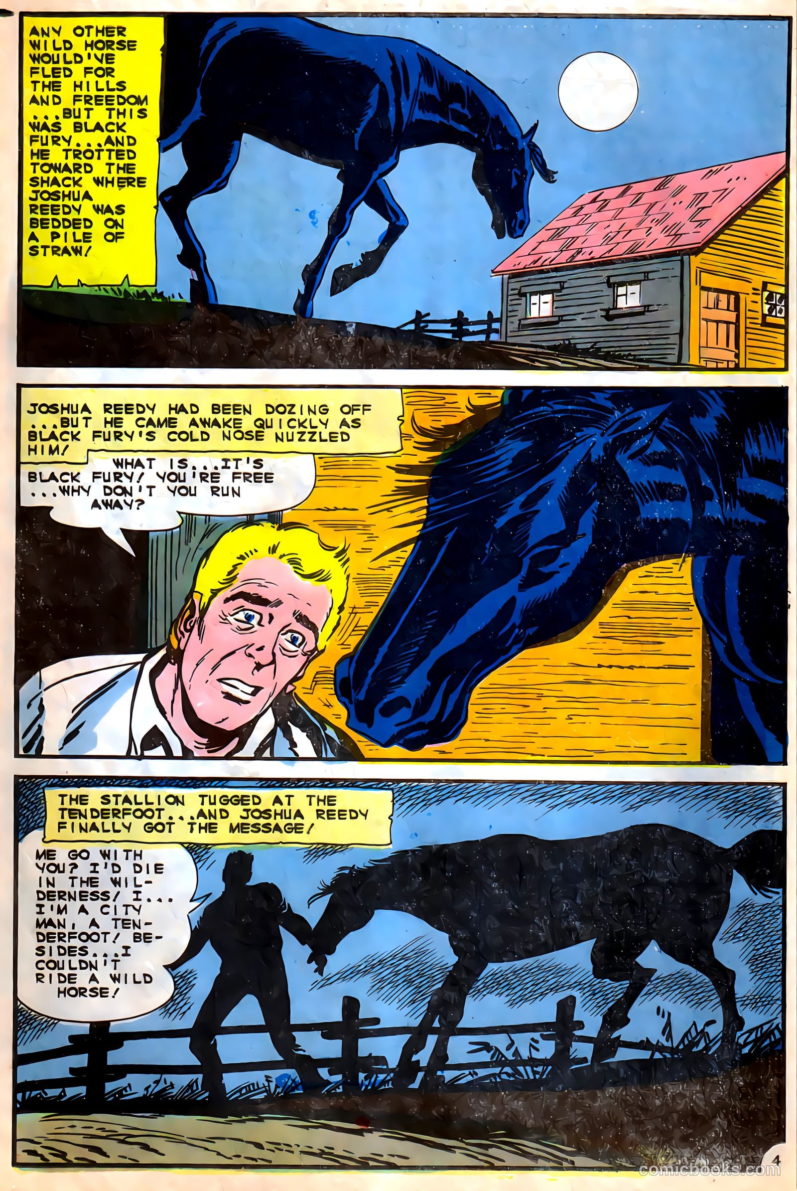 Black Fury #56 — page 18 of 36