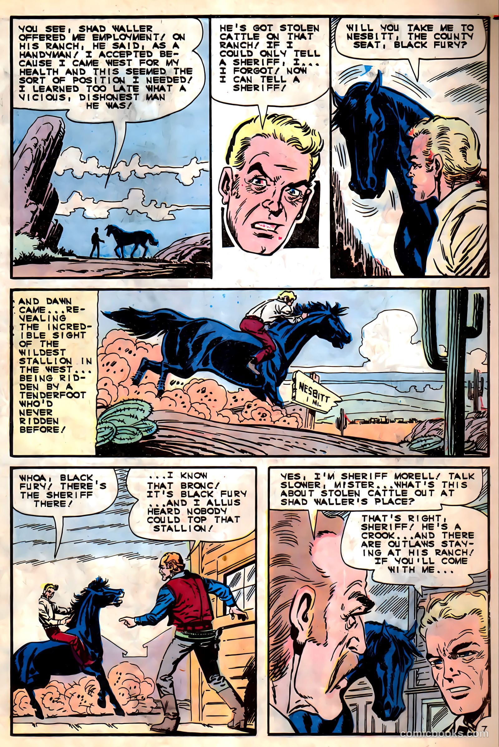Black Fury #56 — page 21 of 36