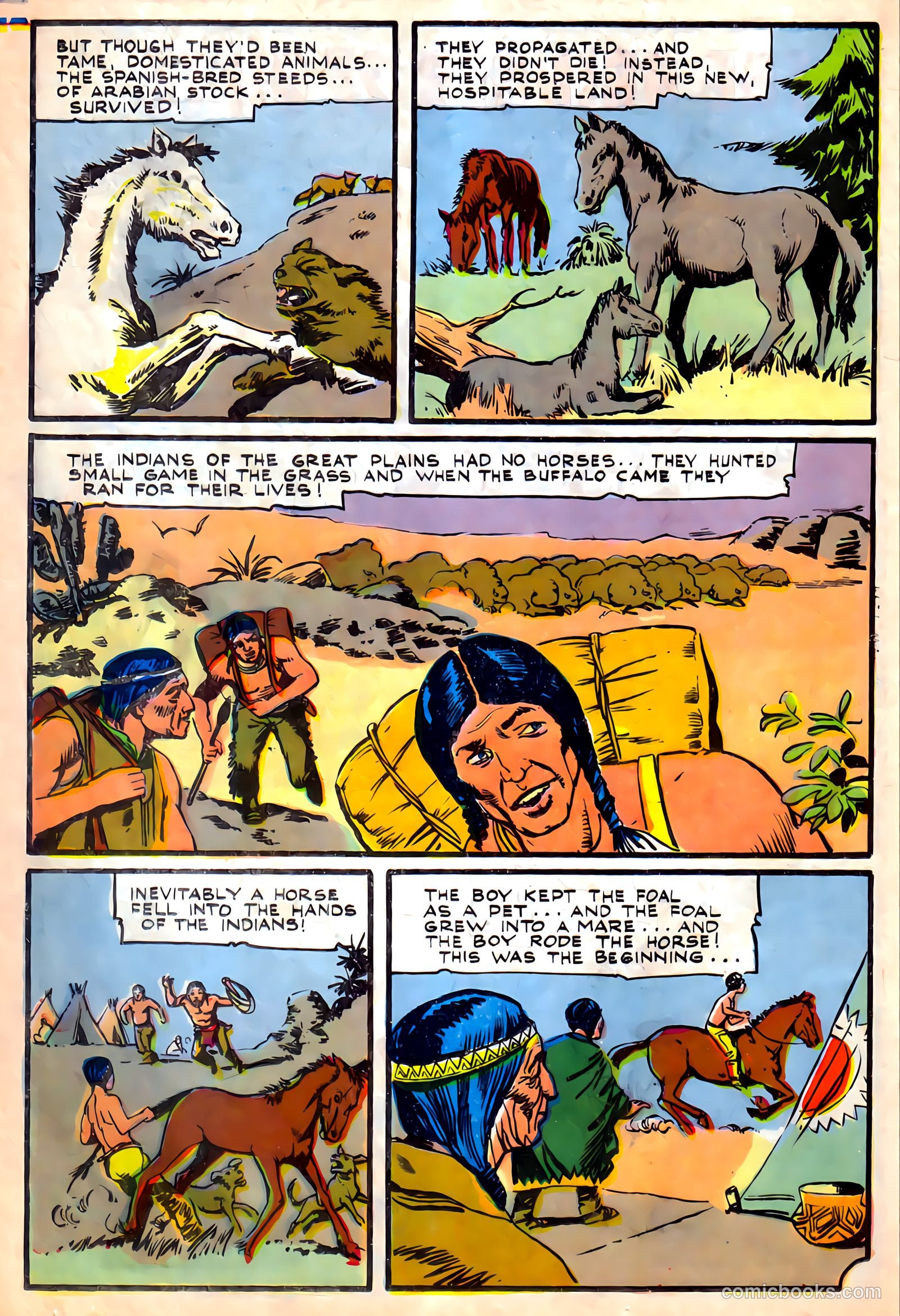 Black Fury #56 — page 26 of 36