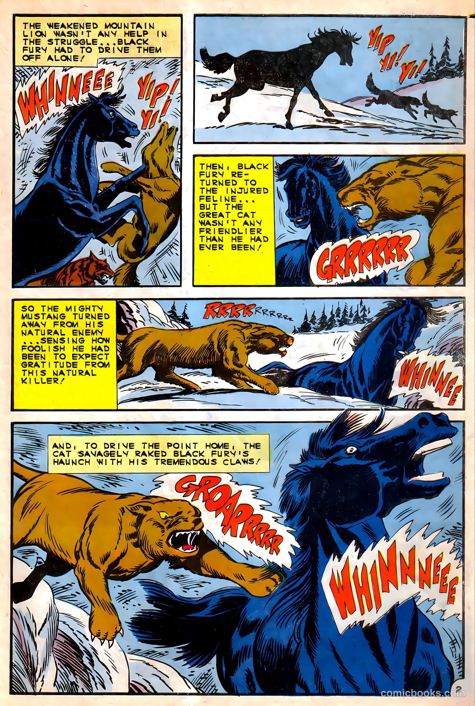 Black Fury #56 — page 31 of 36