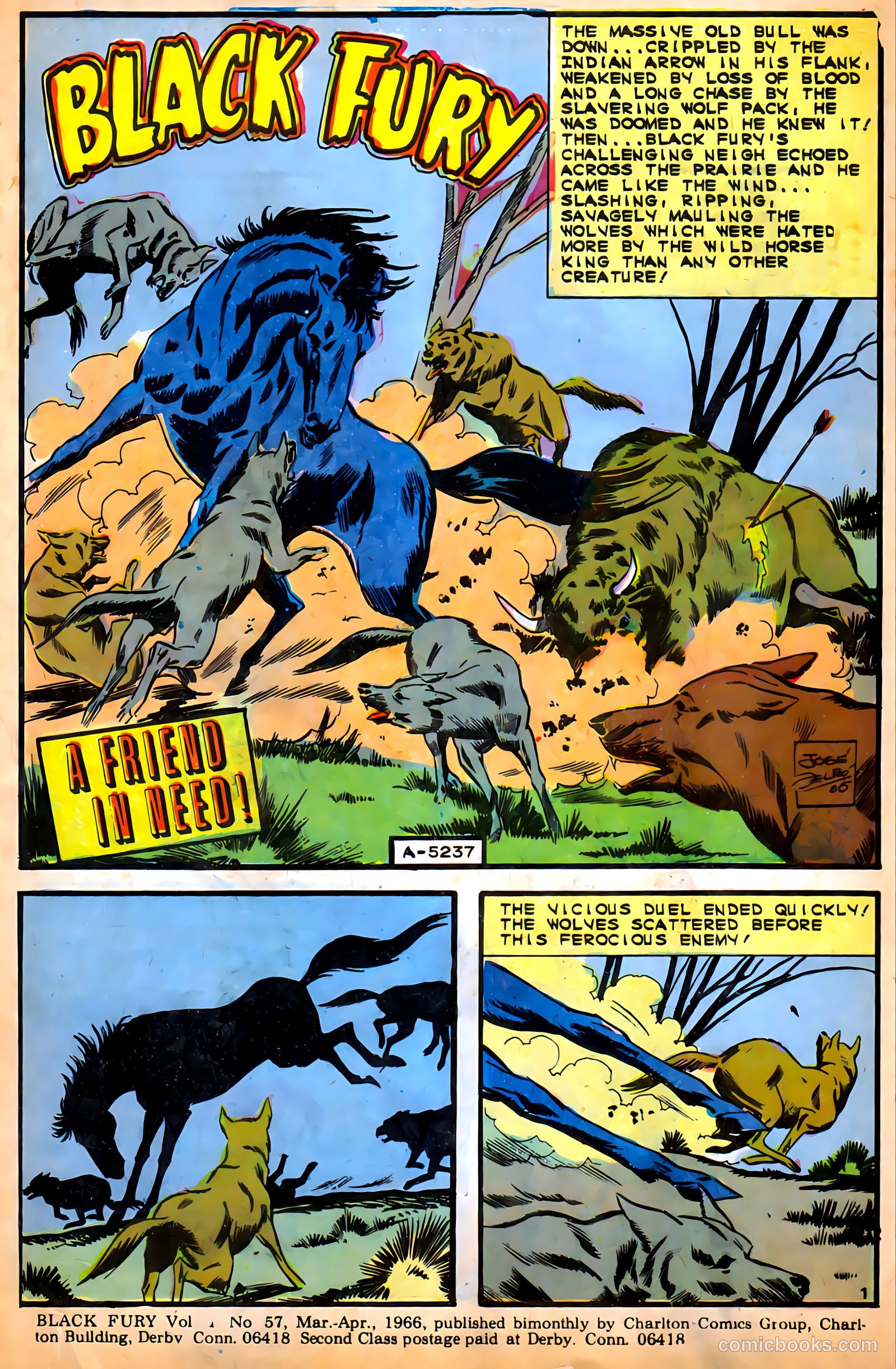 Black Fury #57 — page 3 of 36