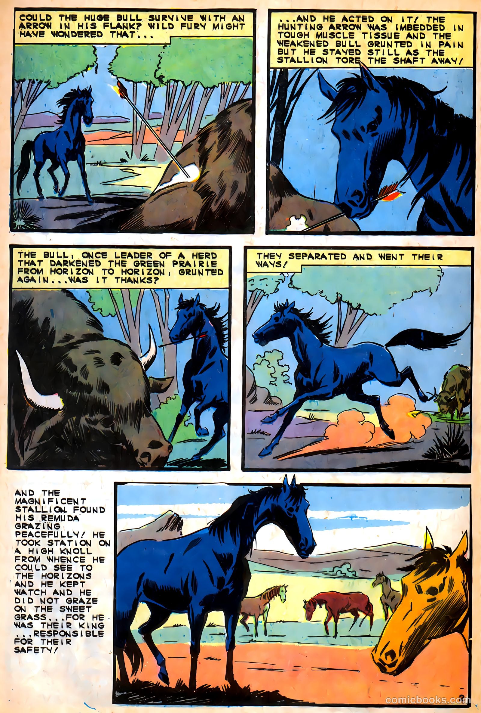 Black Fury #57 — page 4 of 36