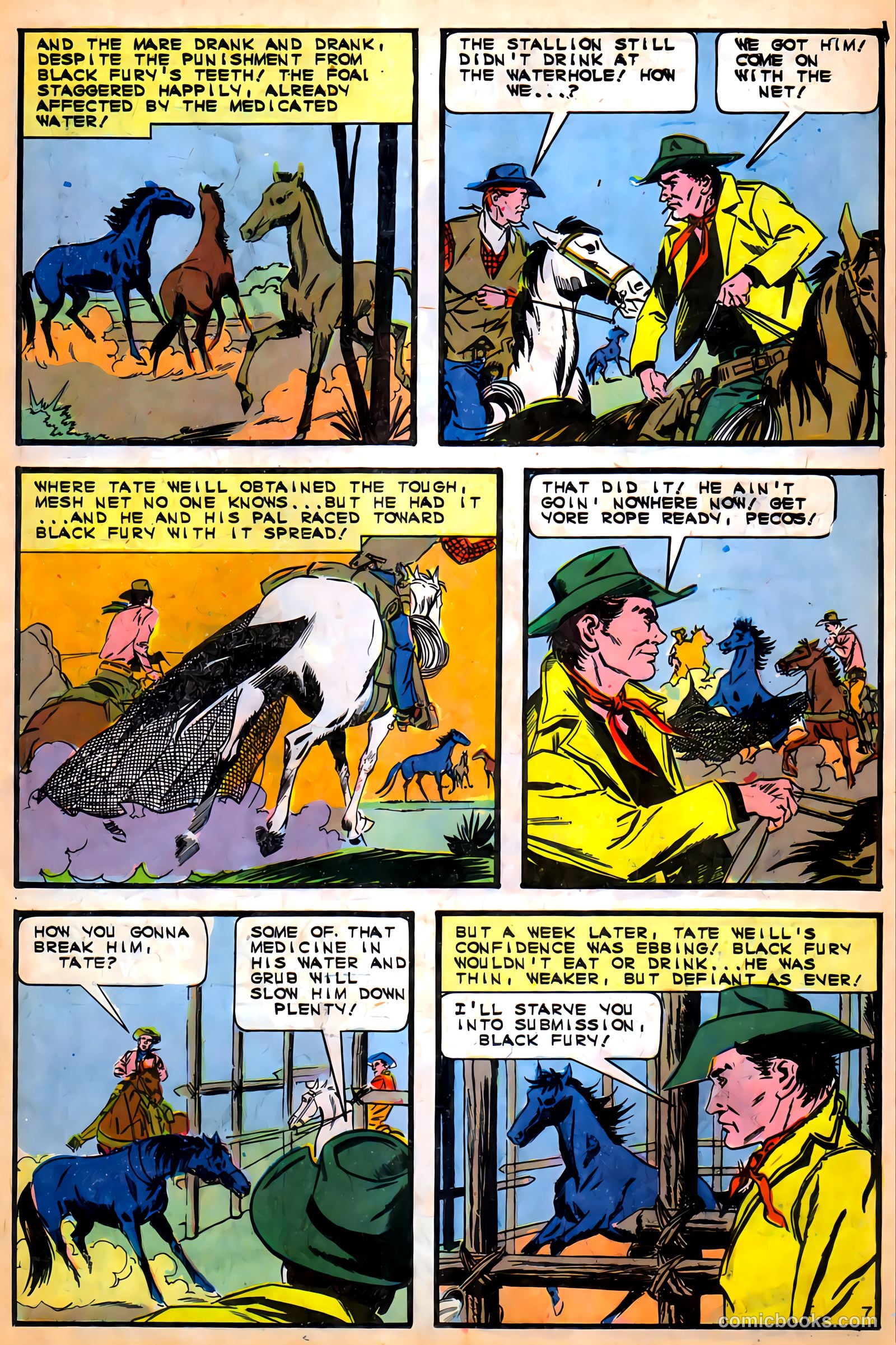 Black Fury #57 — page 11 of 36