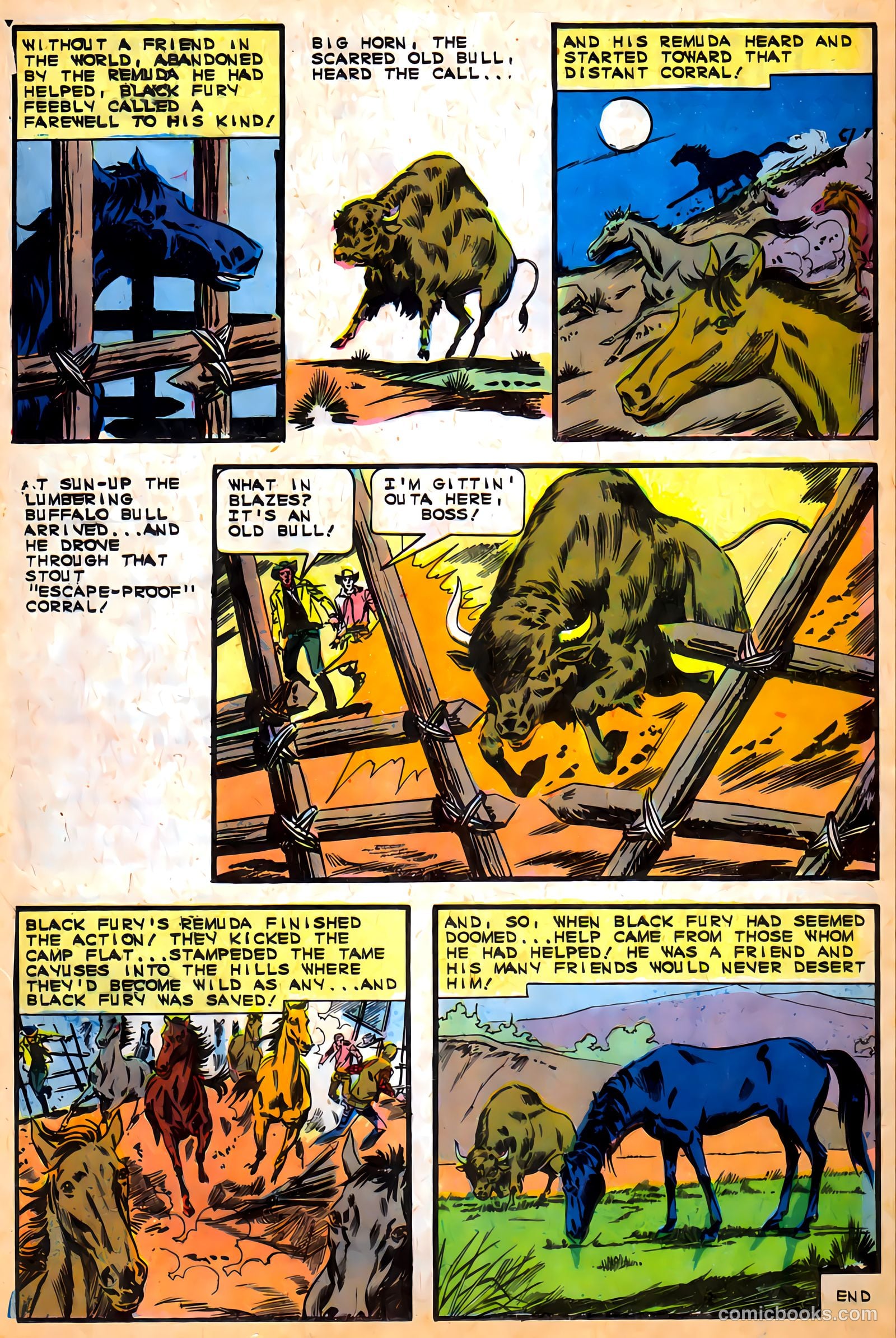 Black Fury #57 — page 12 of 36