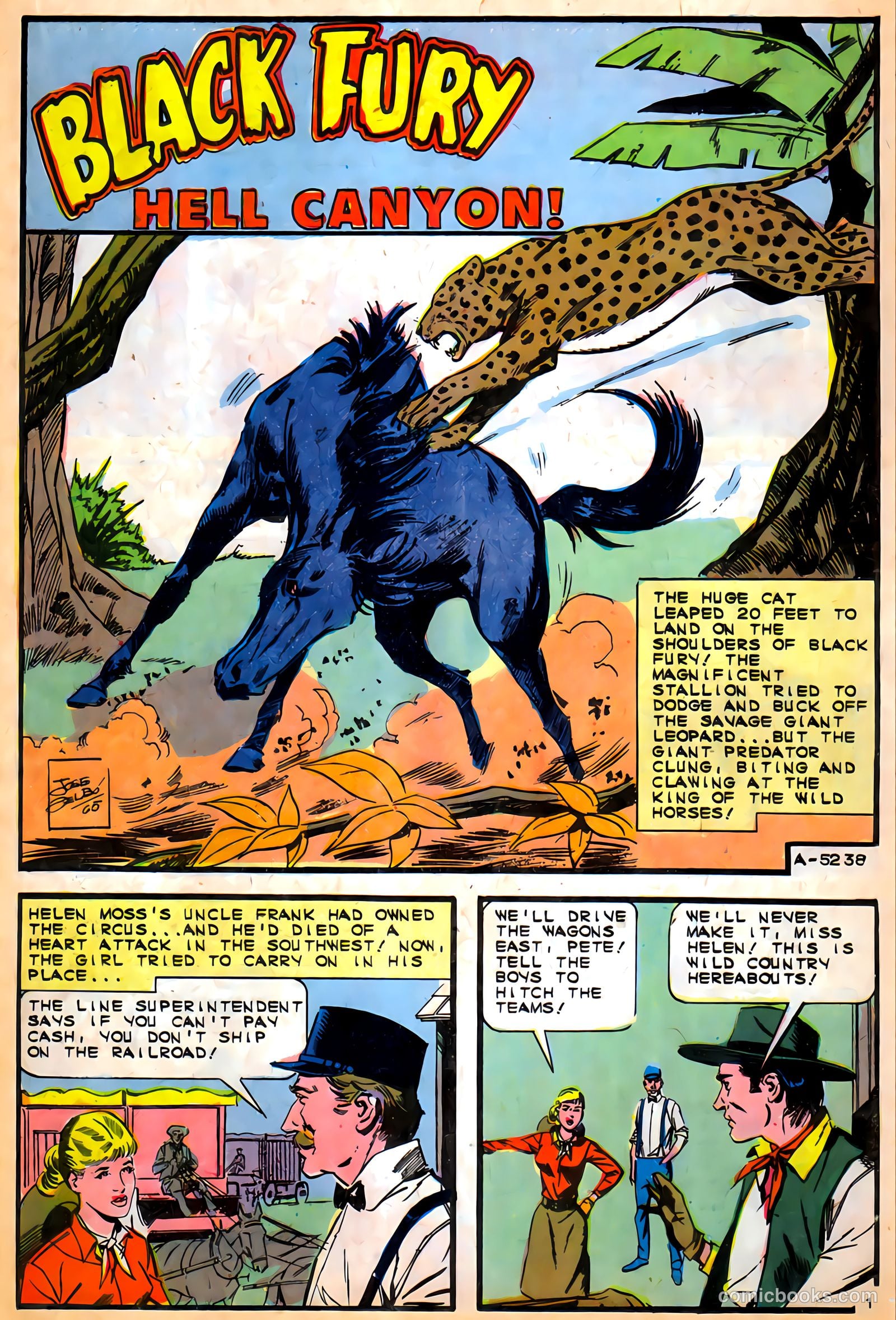 Black Fury #57 — page 15 of 36