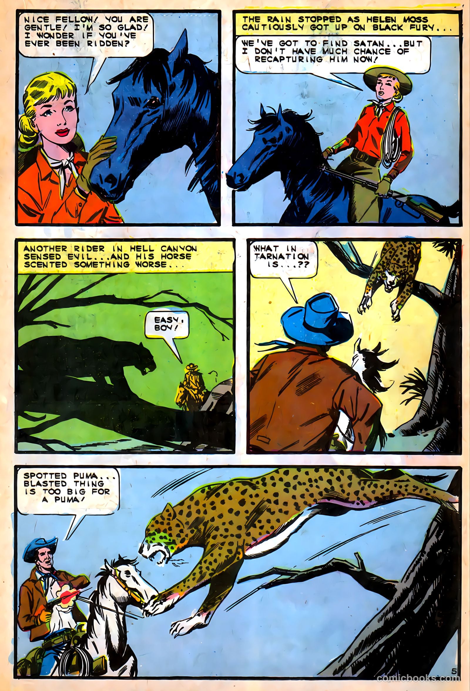 Black Fury #57 — page 19 of 36