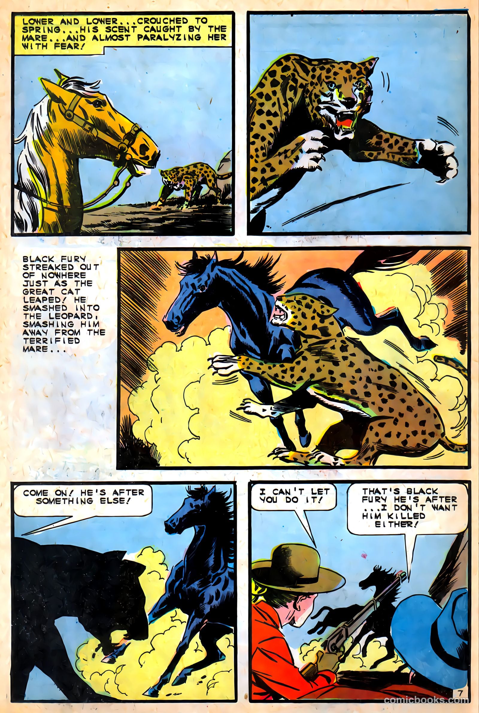 Black Fury #57 — page 21 of 36