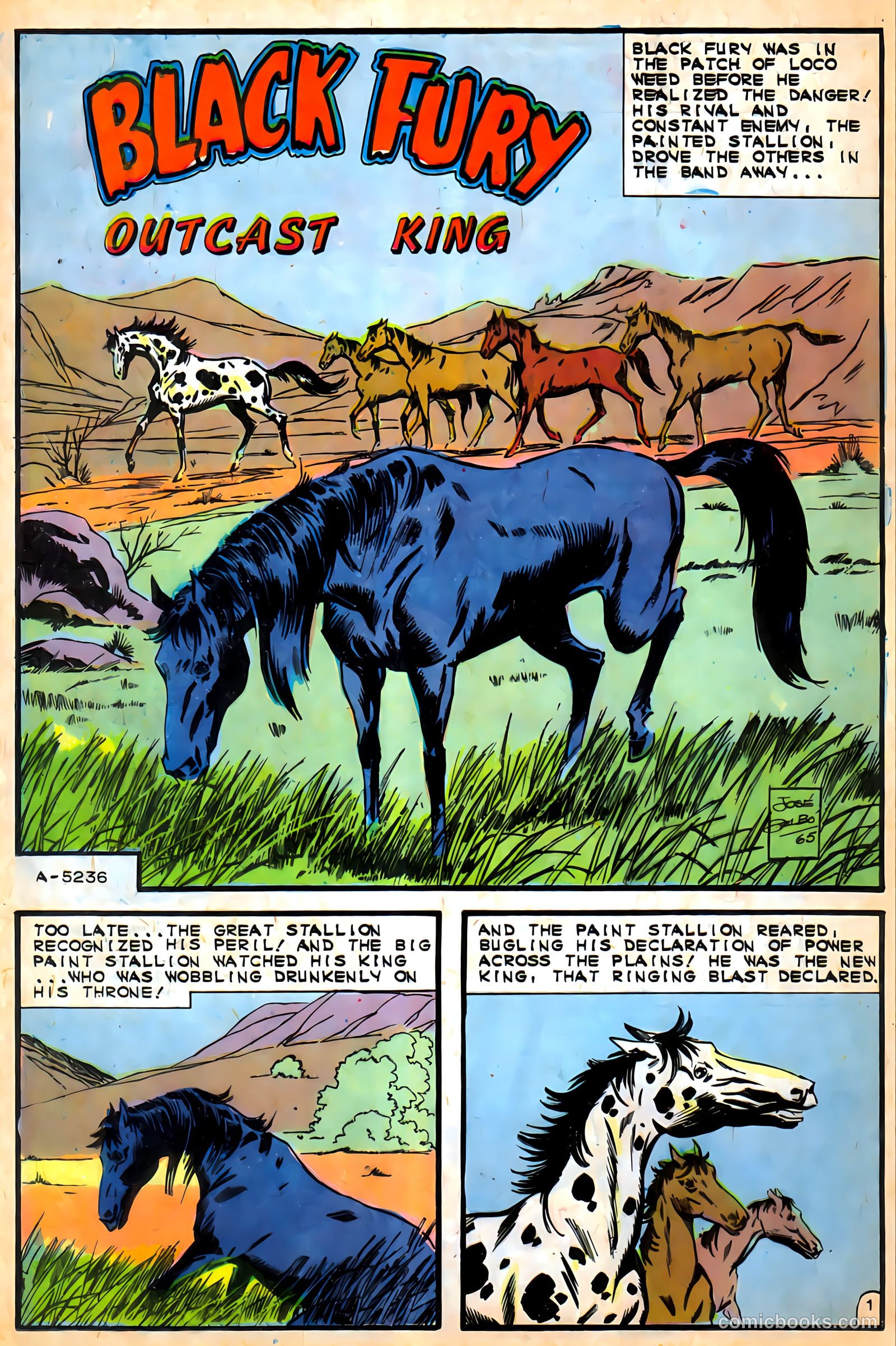 Black Fury #57 — page 25 of 36