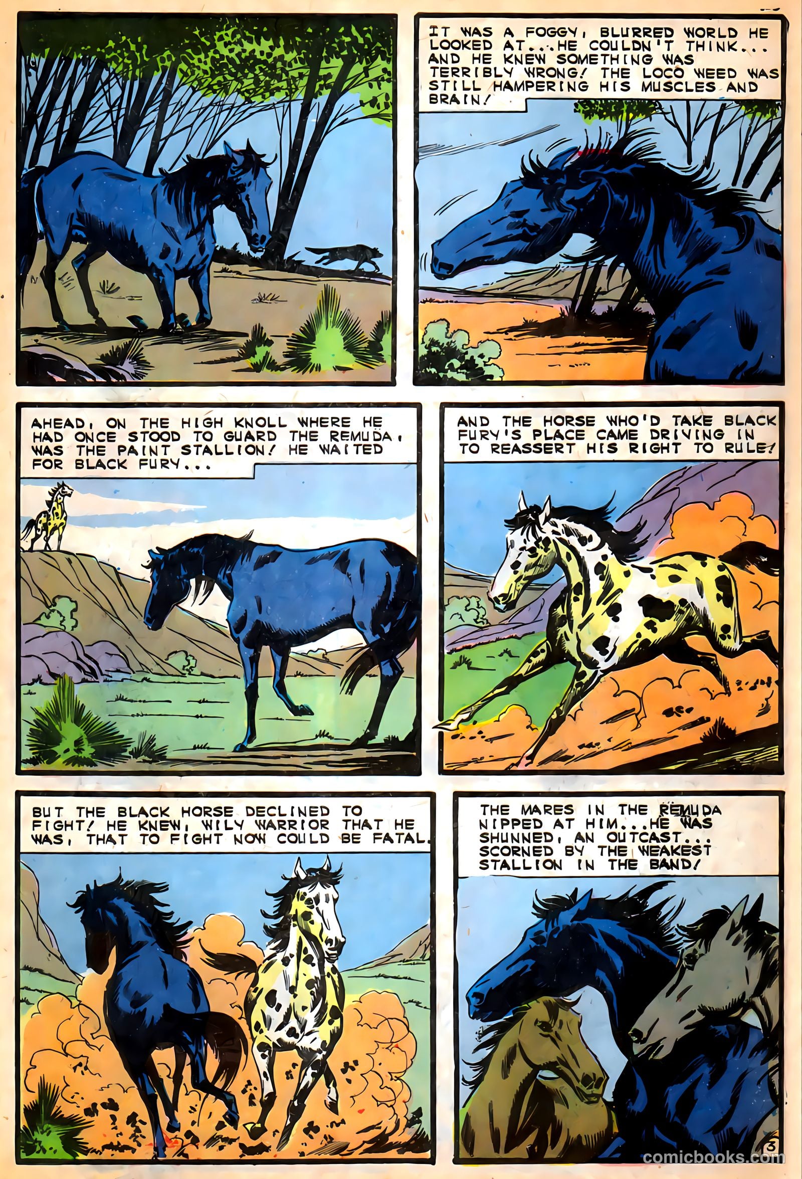 Black Fury #57 — page 27 of 36