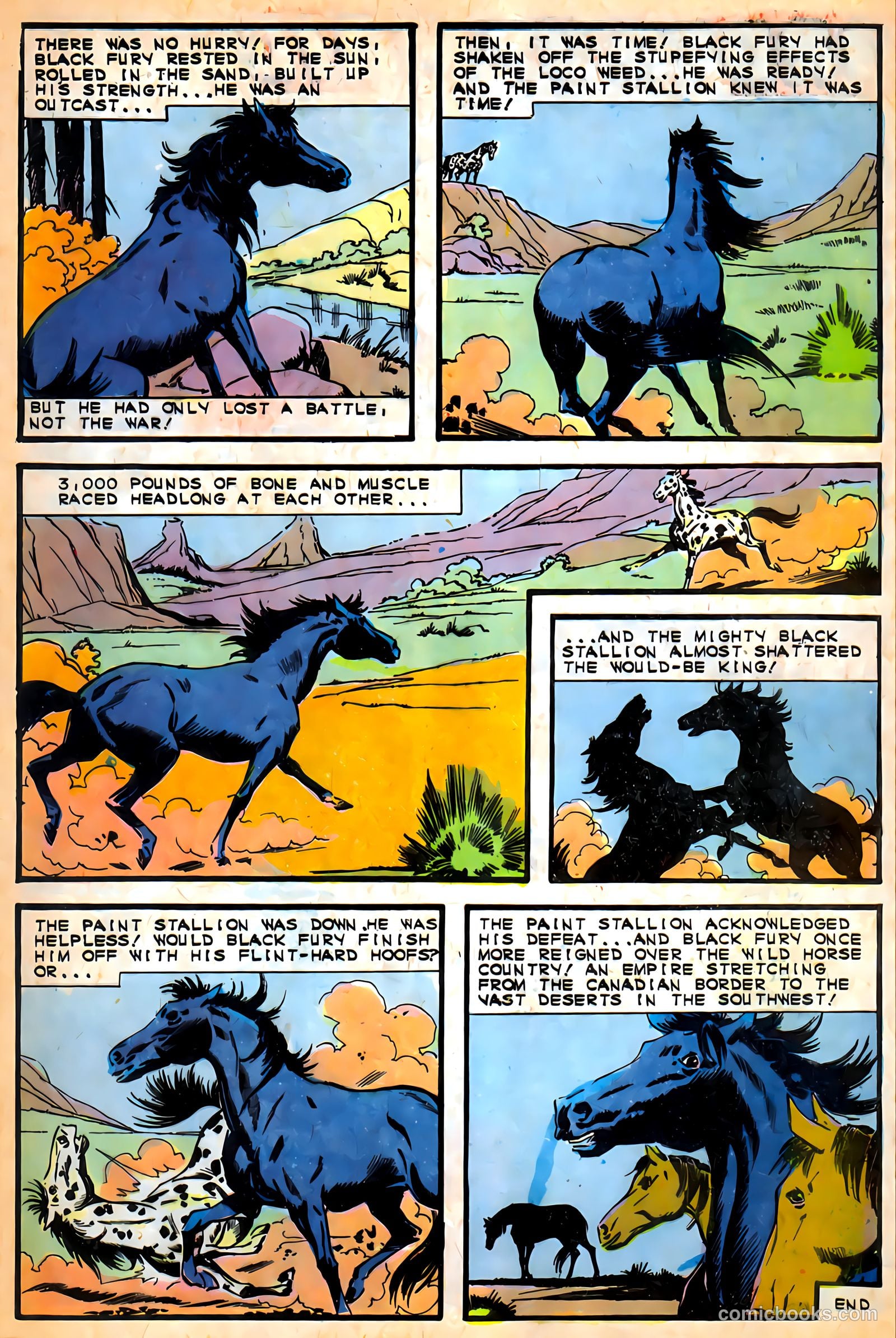 Black Fury #57 — page 28 of 36